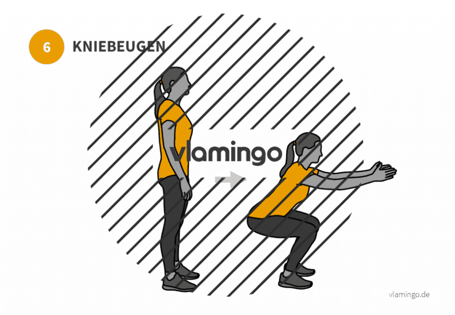 bung 6 Kniebeuge Übung 6 - Kniebeuge