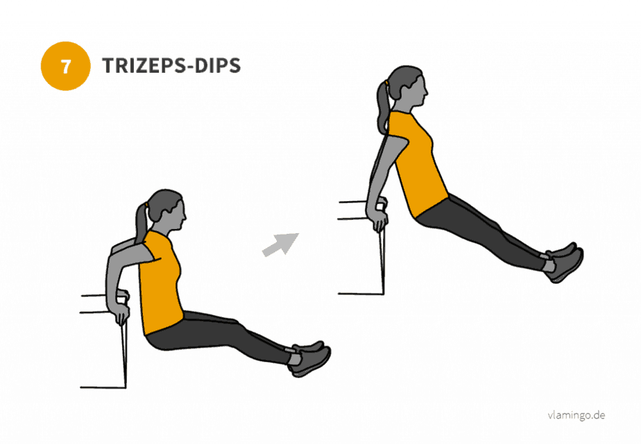 bung 7 Trizeps Dips Übung 7 - Trizeps-Dips