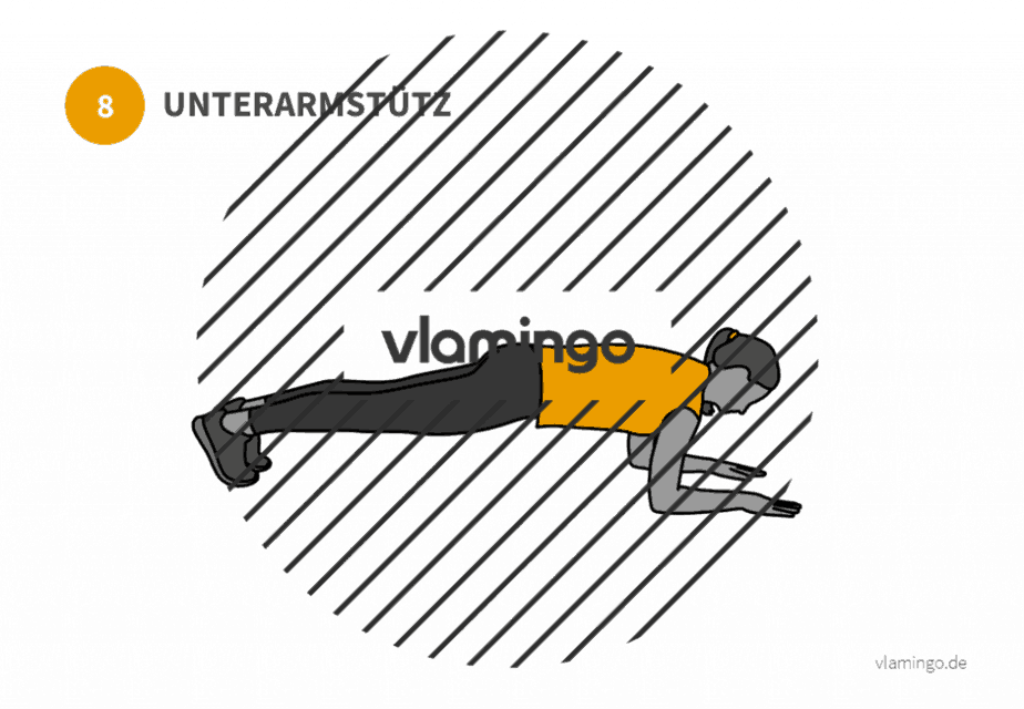bung 8 Unterarmstütz Übung 8 - Unterarmstütz