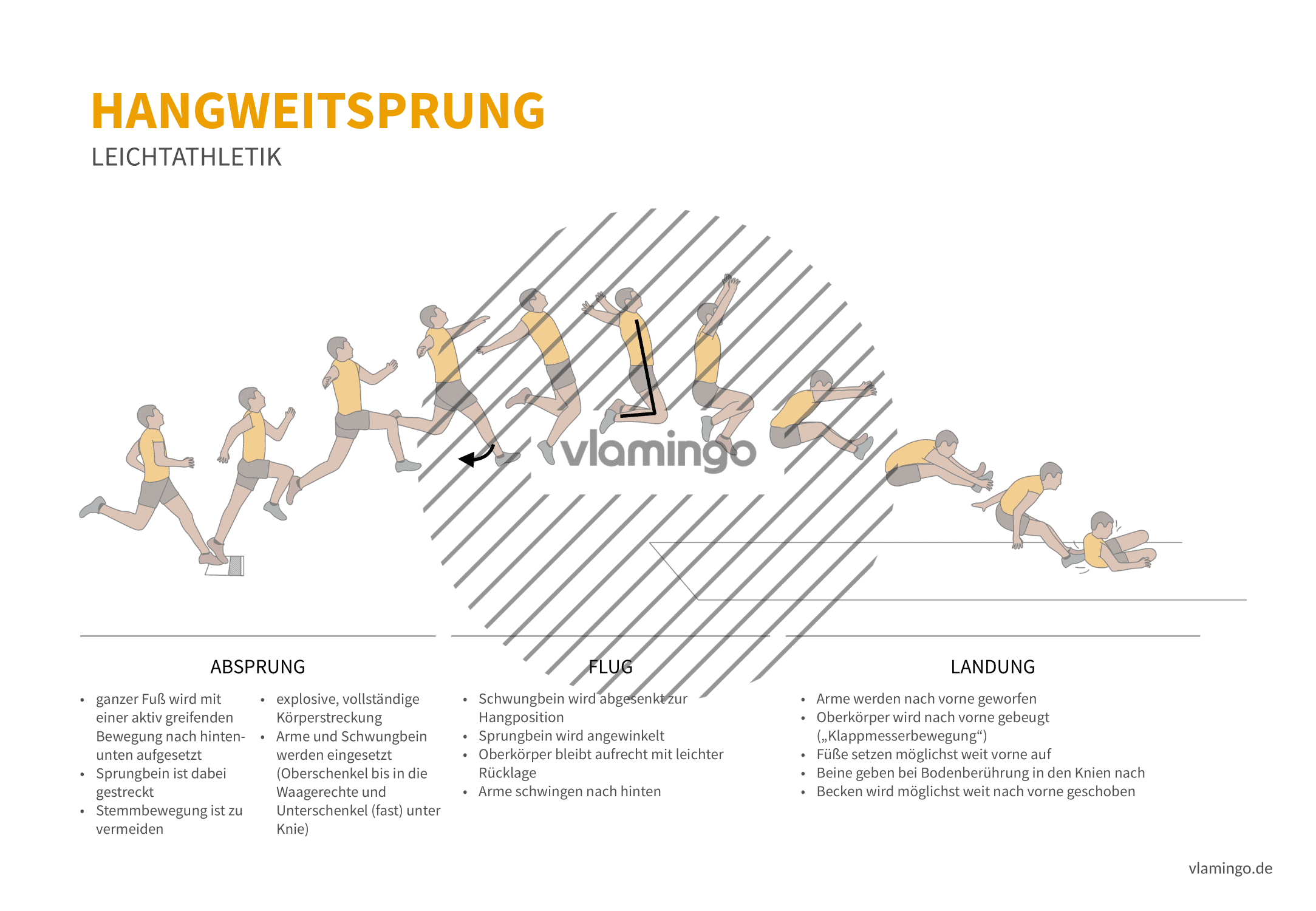 Hangsprung (Bewegungsanalyse) - Leichtathletik