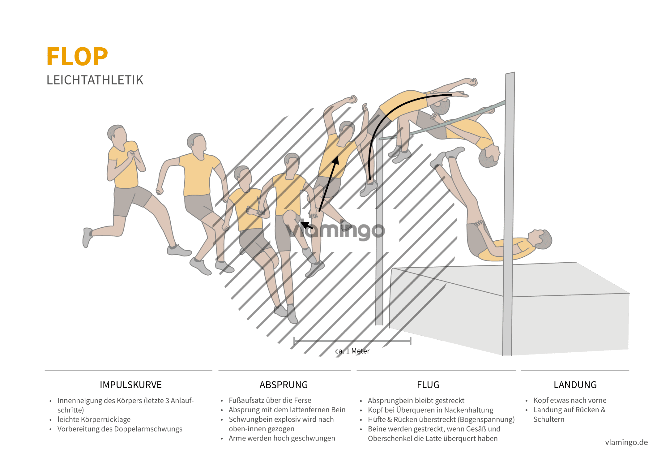 Hochsprung Flop (Bewegungsanalyse) - Leichtathletik