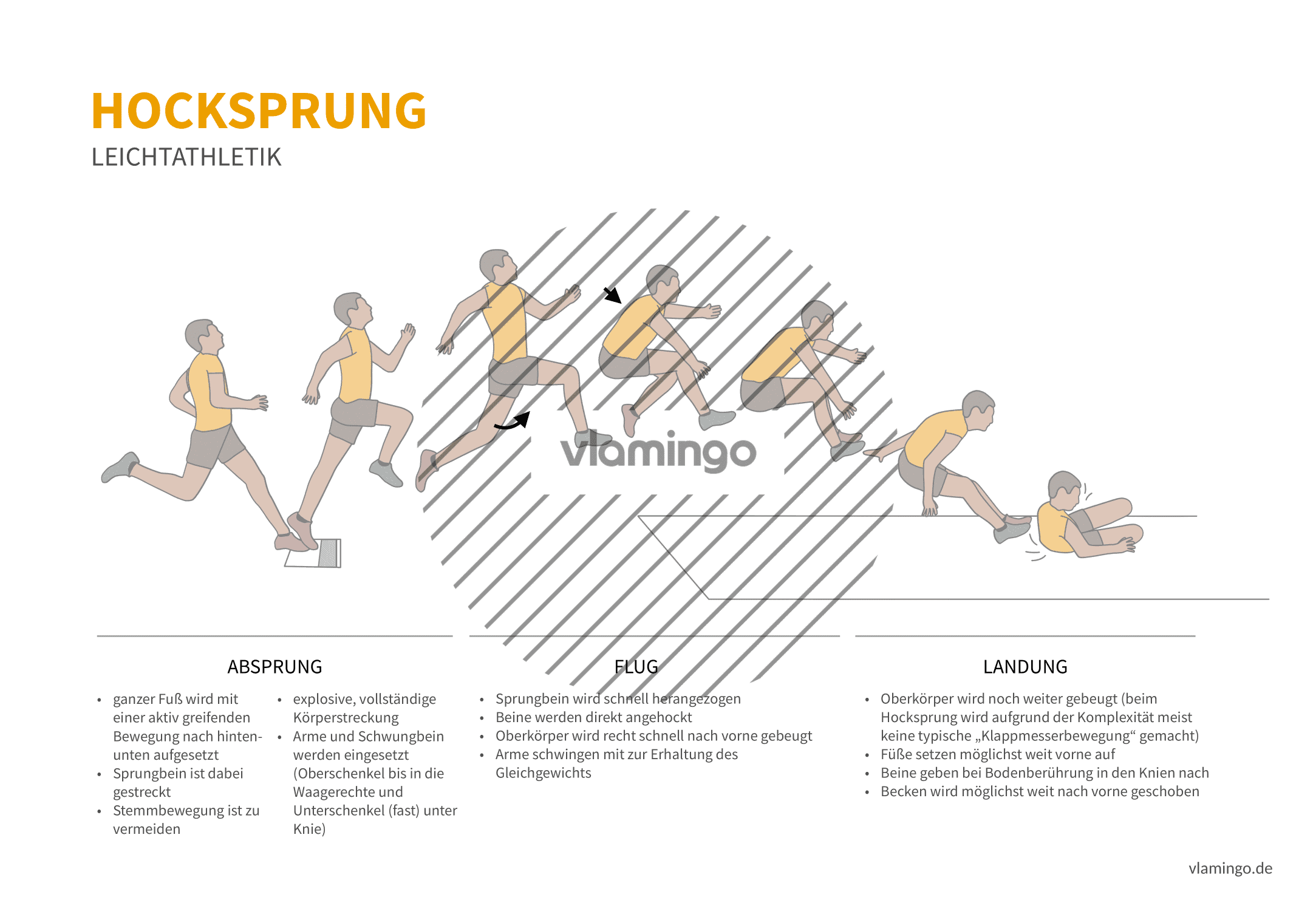 Hocksprung (Bewegungsanalyse) - Leichtathletik