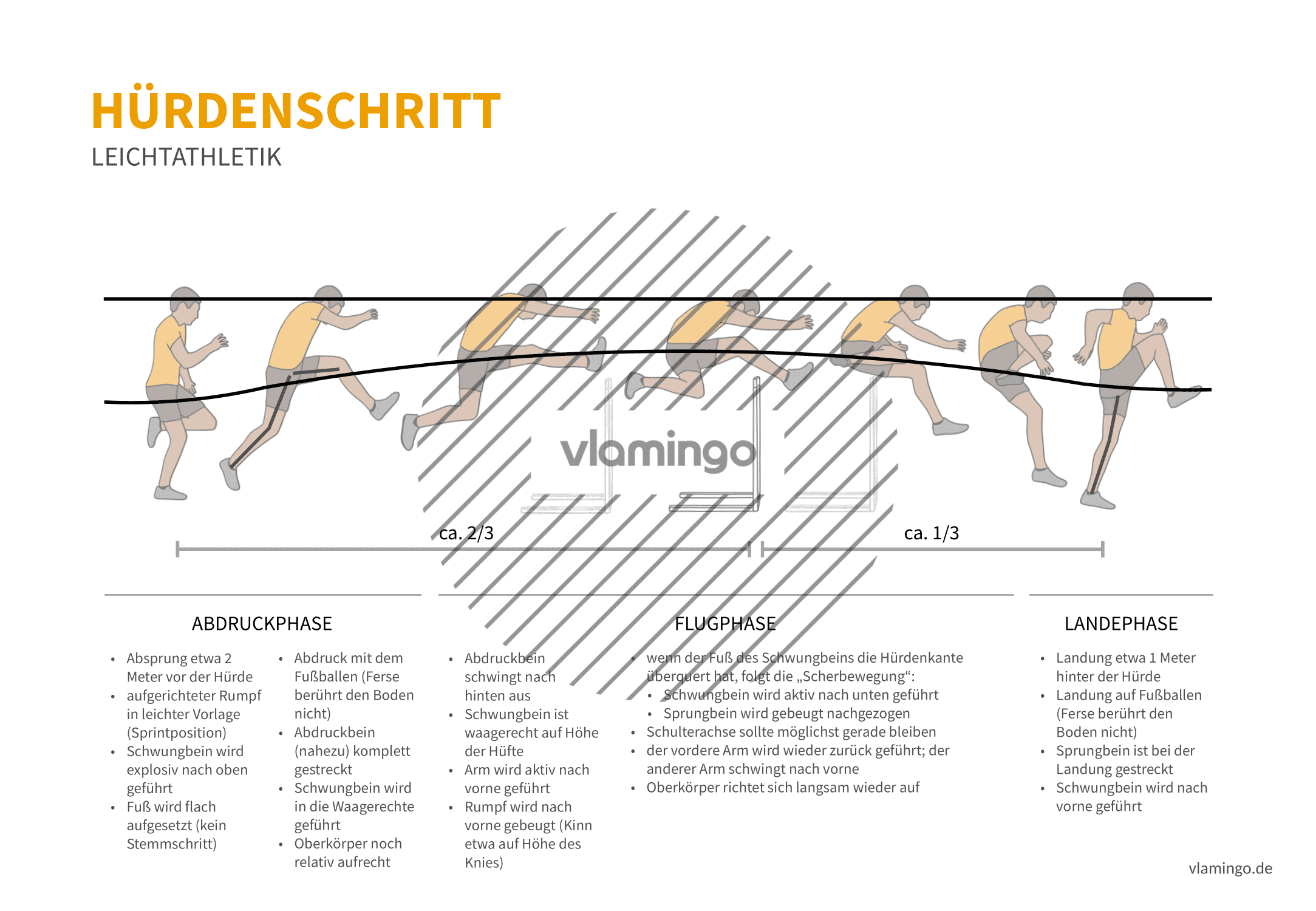 Hürdenschritt (Bewegungsanalyse) - Leichtathletik