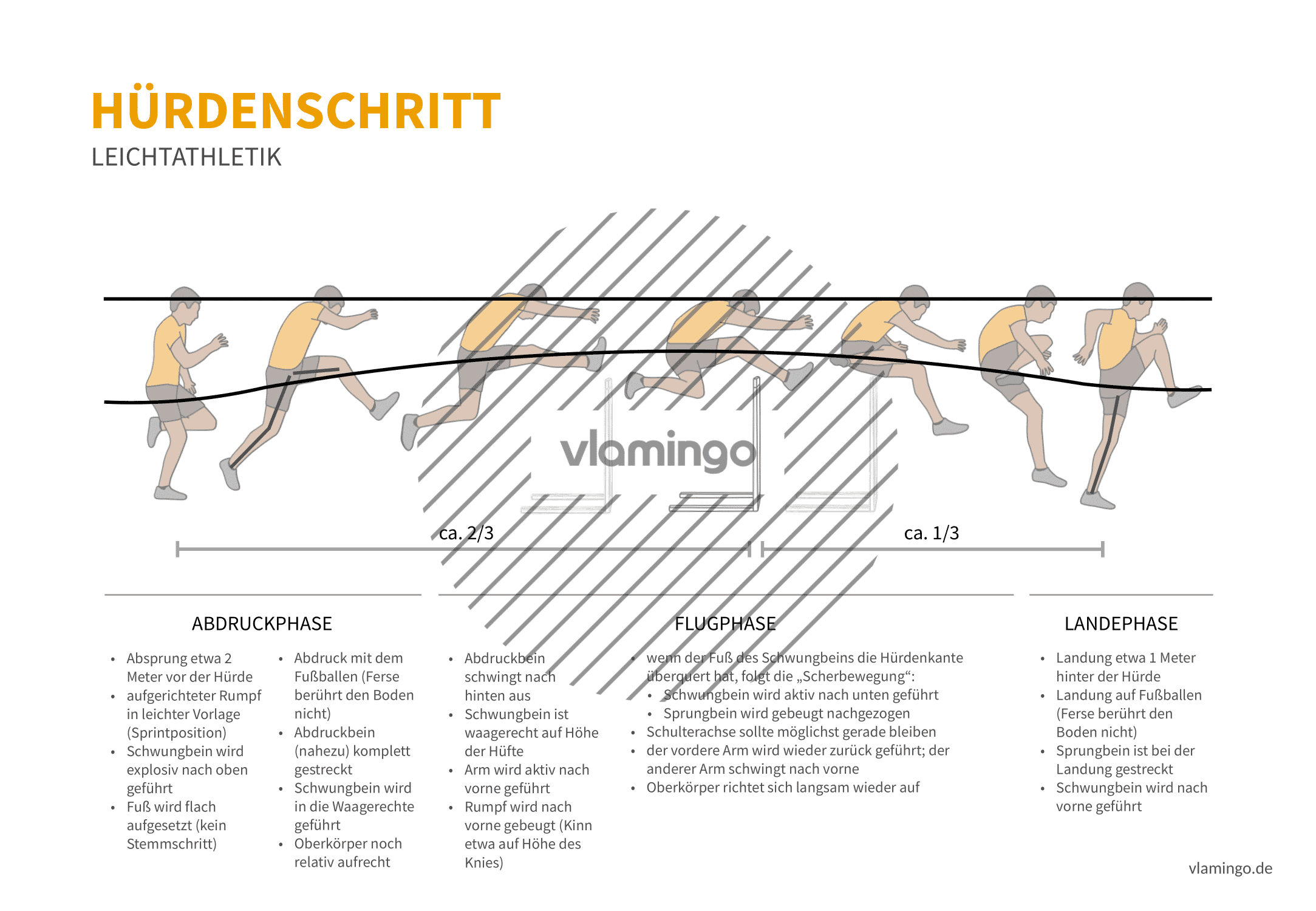 Hürdenschritt (Bewegungsanalyse) - Leichtathletik Hürdenschritt (Bewegungsanalyse) - Leichtathletik