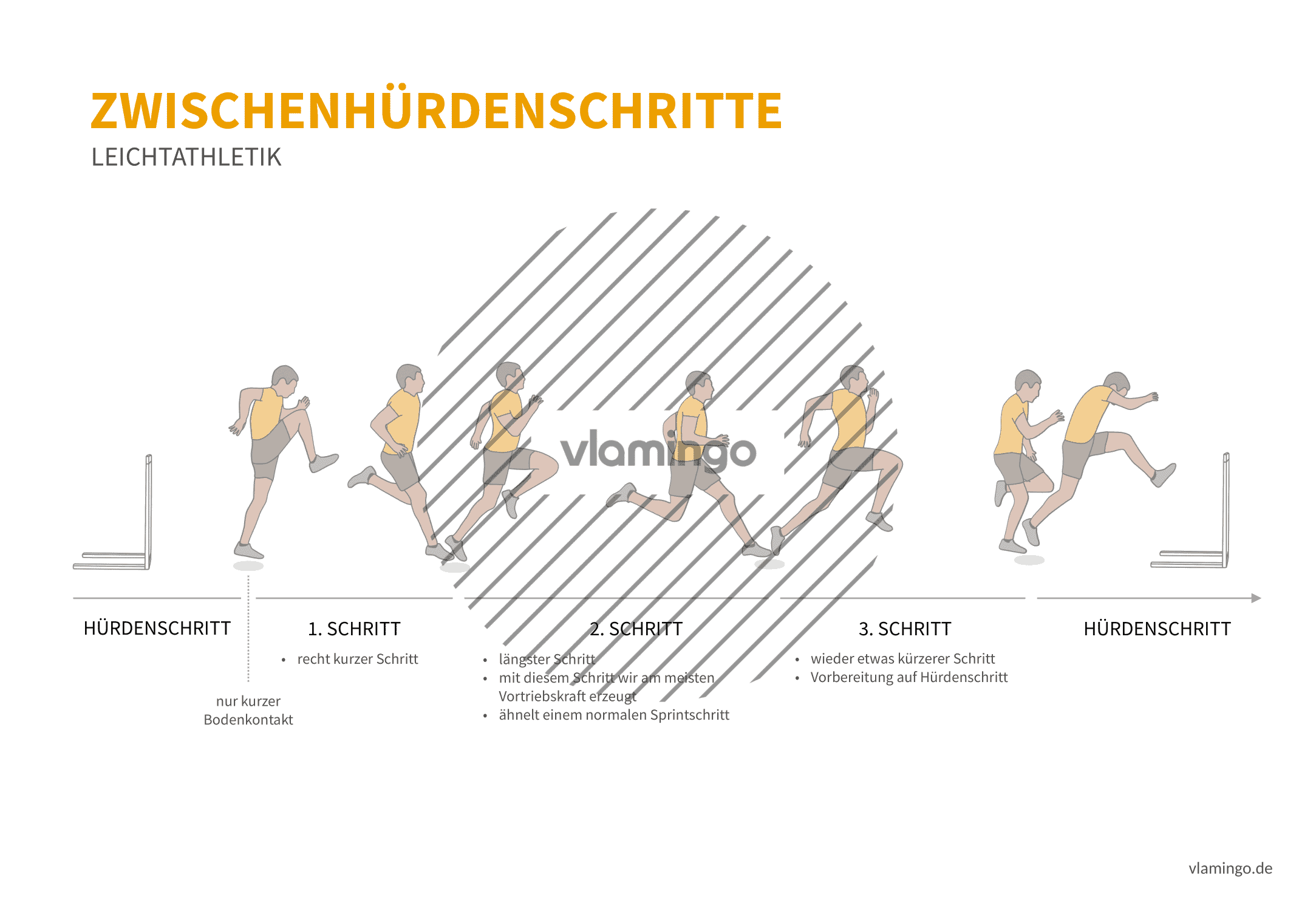 Hürdenzwischenschritt (Bewegungsanalyse) - Leichtathletik