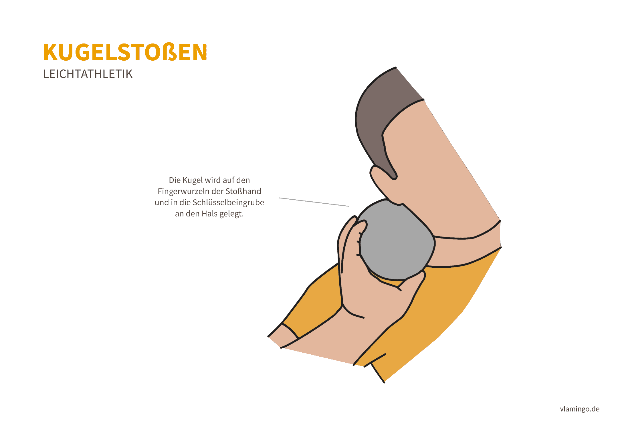 Kugelstoßen Griff 1 (Bewegungsanalyse) - Leichtathletik.png Kugelstoßen Griff 1 (Bewegungsanalyse) - Leichtathletik