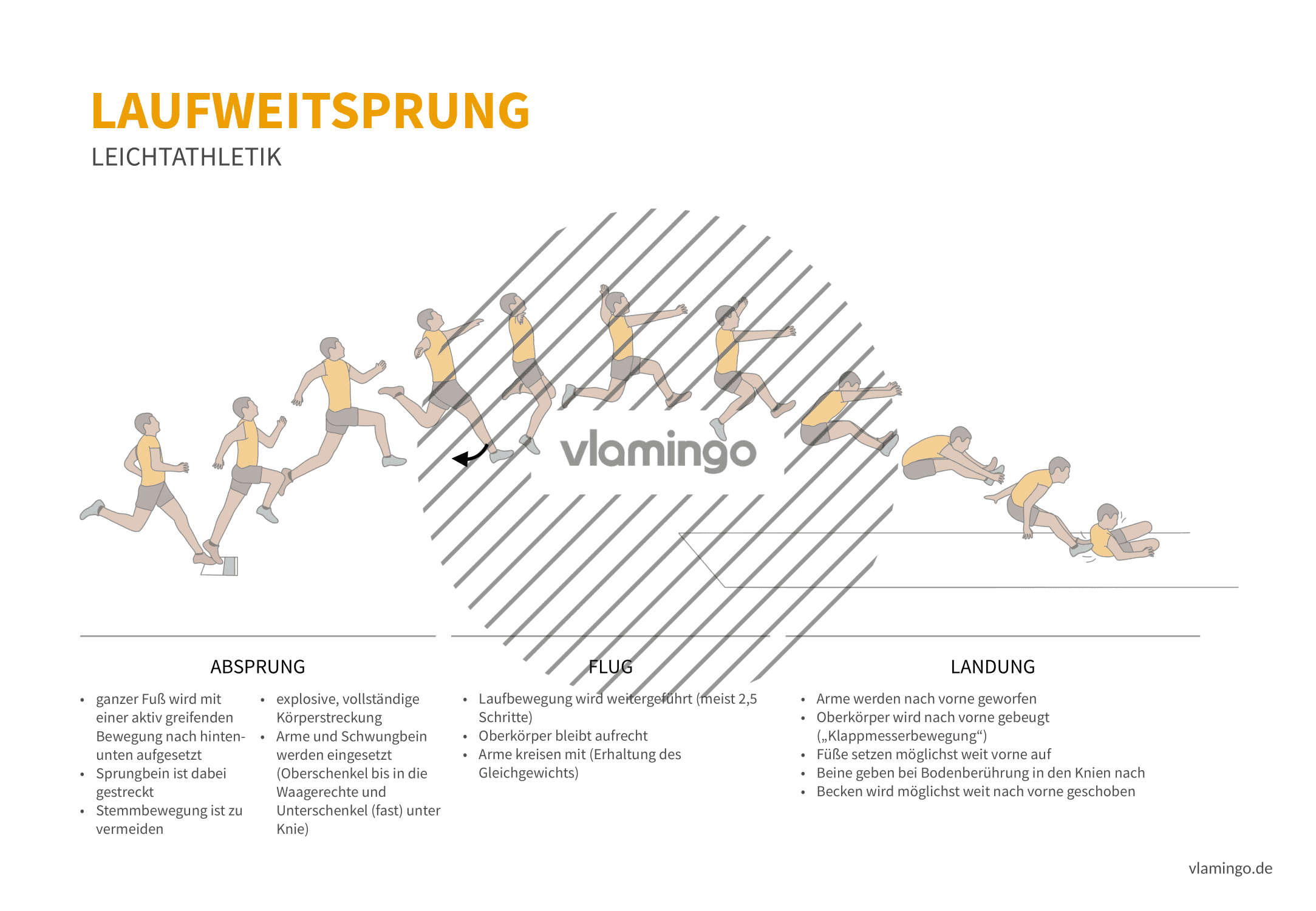 Laufsprung (Bewegungsanalyse) - Leichtathletik