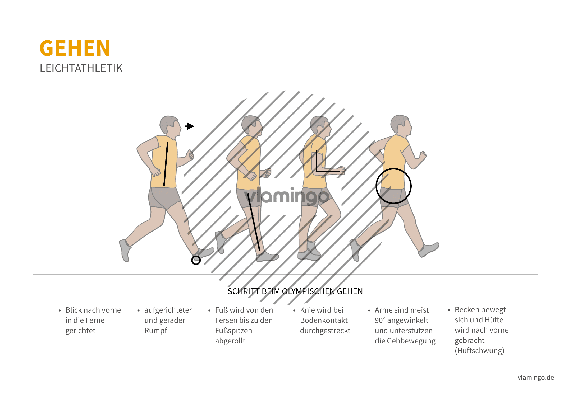 Olympisches Gehen (Bewegungsanalyse) - Leichtathletik