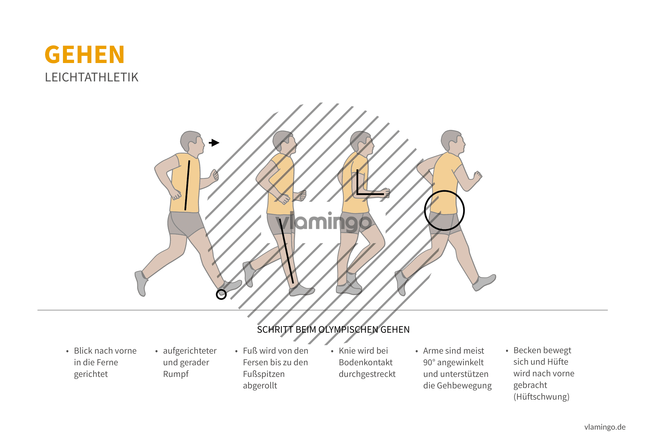 Olympisches Gehen (Bewegungsanalyse) - Leichtathletik Olympisches Gehen (Bewegungsanalyse) - Leichtathletik