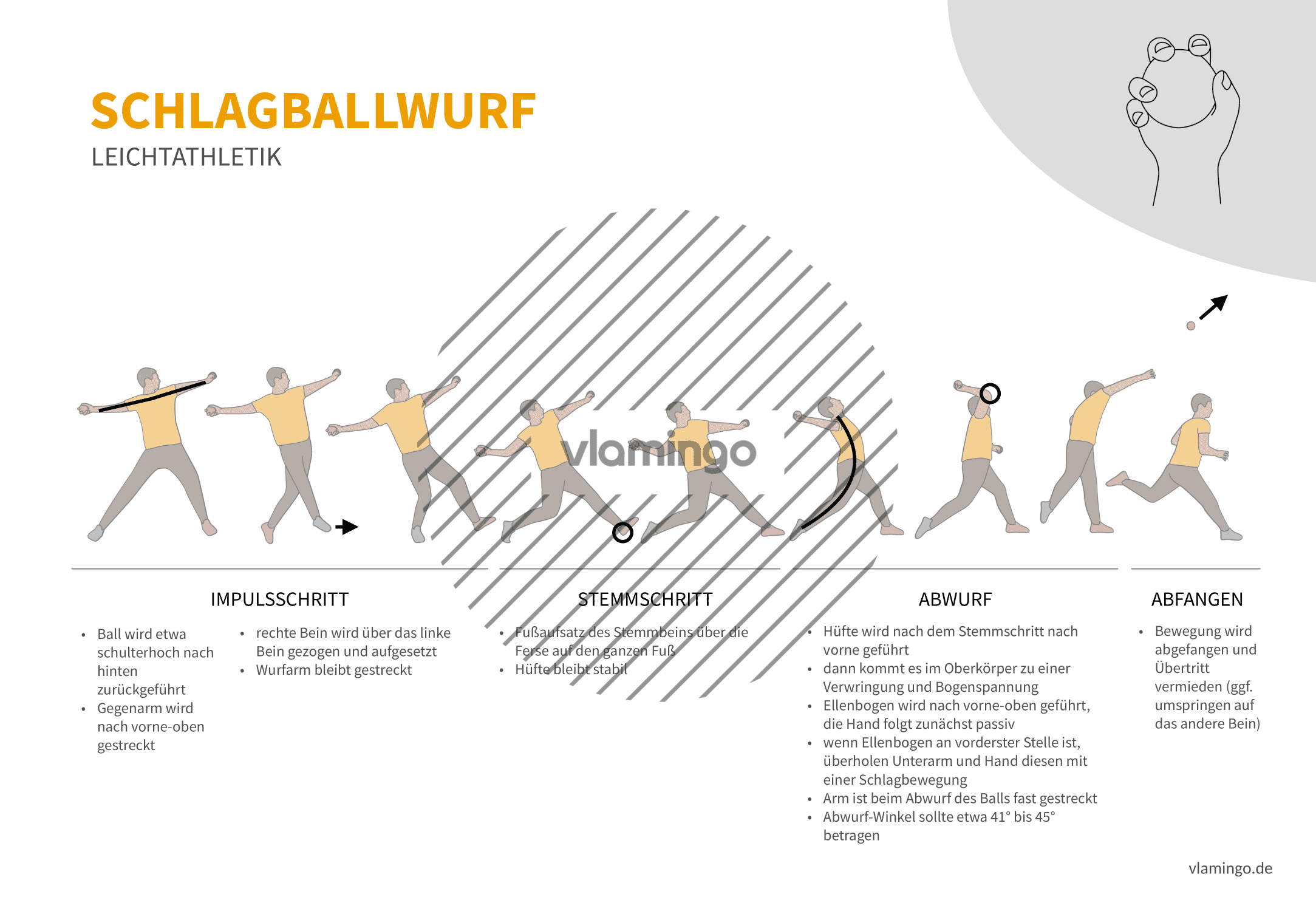 Schlagballwurf (Bewegungsanalyse) - Leichtathletik