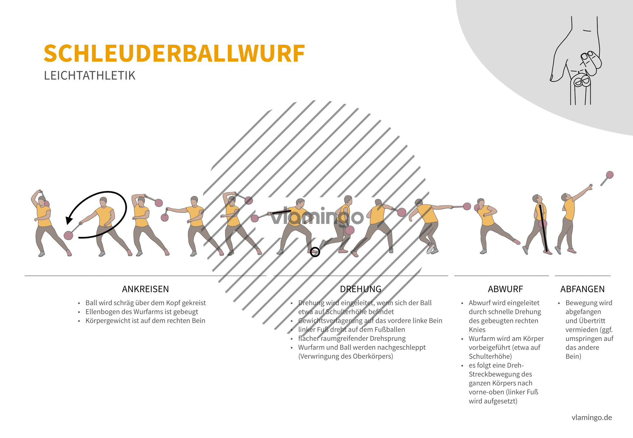 Schleuderballwurf (Bewegungsanalyse) - Leichtathletik