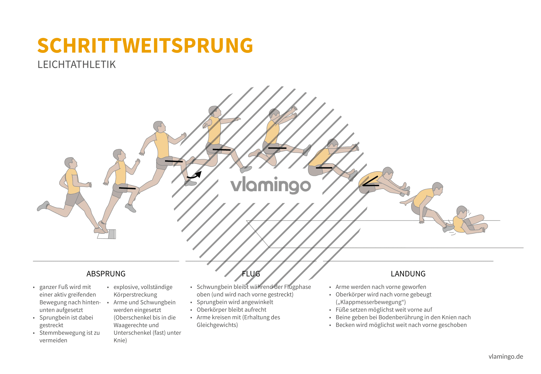 Schrittsprung (Bewegungsanalyse) - Leichtathletik