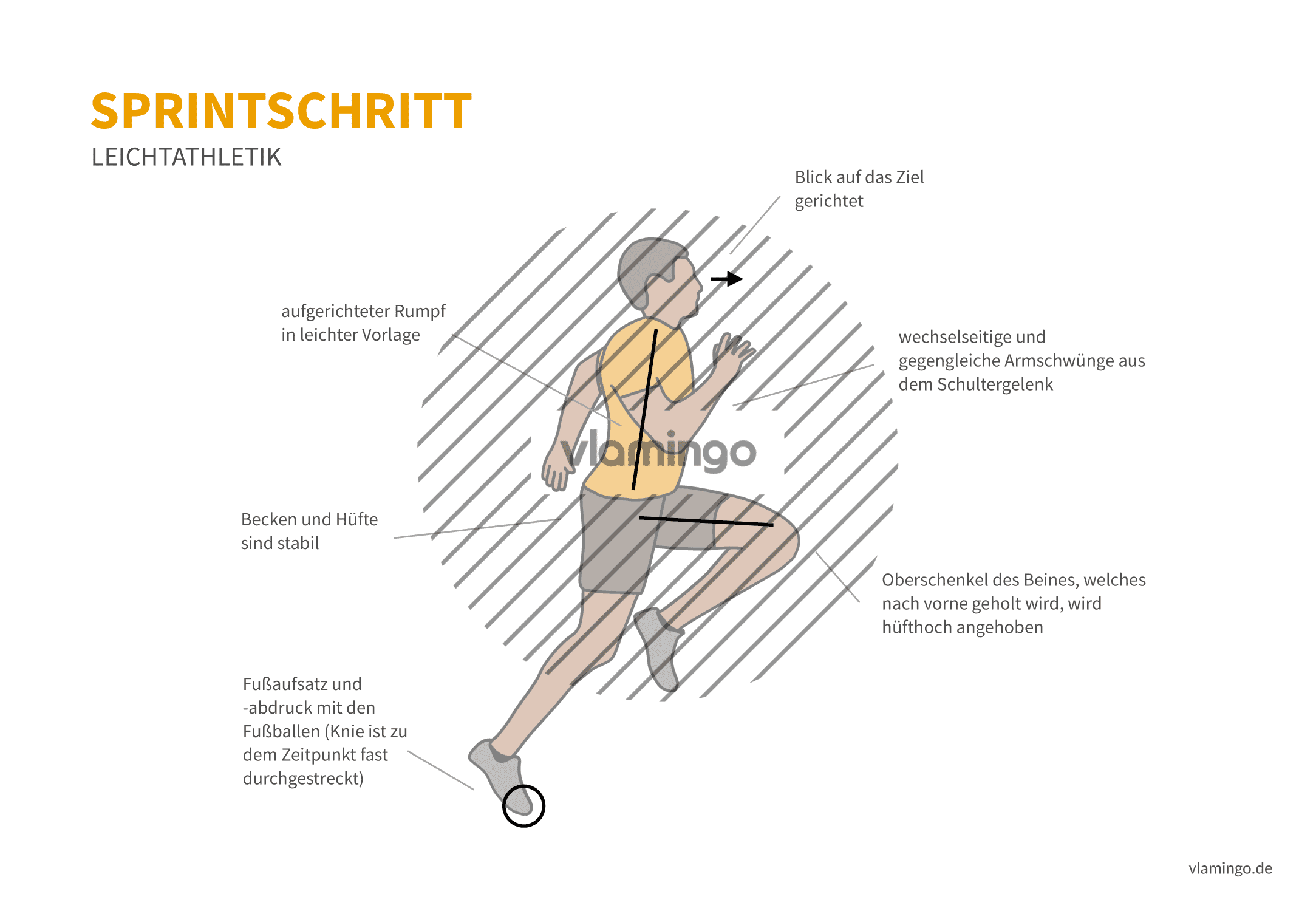 Sprintschritt 1 (Bewegungsanalyse) - Leichtathletik Tiefstart (Bewegungsanalyse) - Leichtathletik