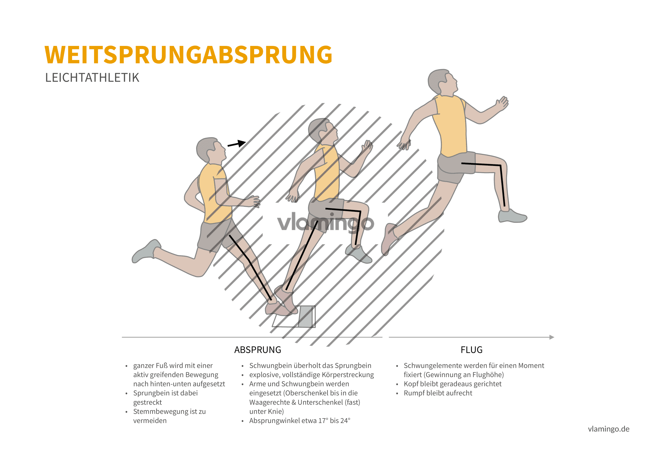 Weitsprung Absprung (Bewegungsanalyse) - Leichtathletik