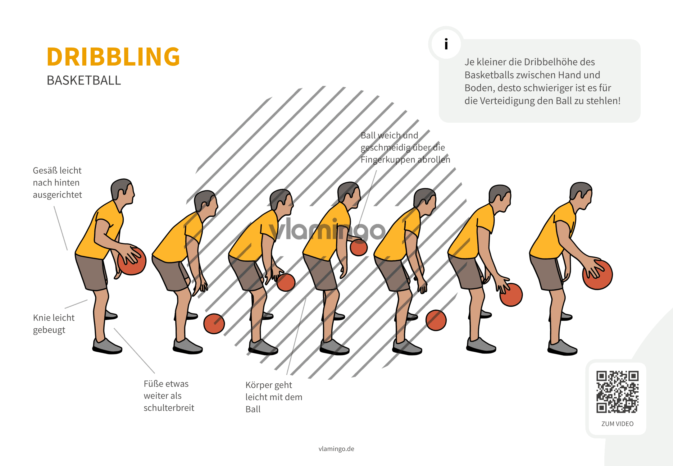 Basketball - Dribbling (von der Seite) Basketball - Dribbling (von der Seite)