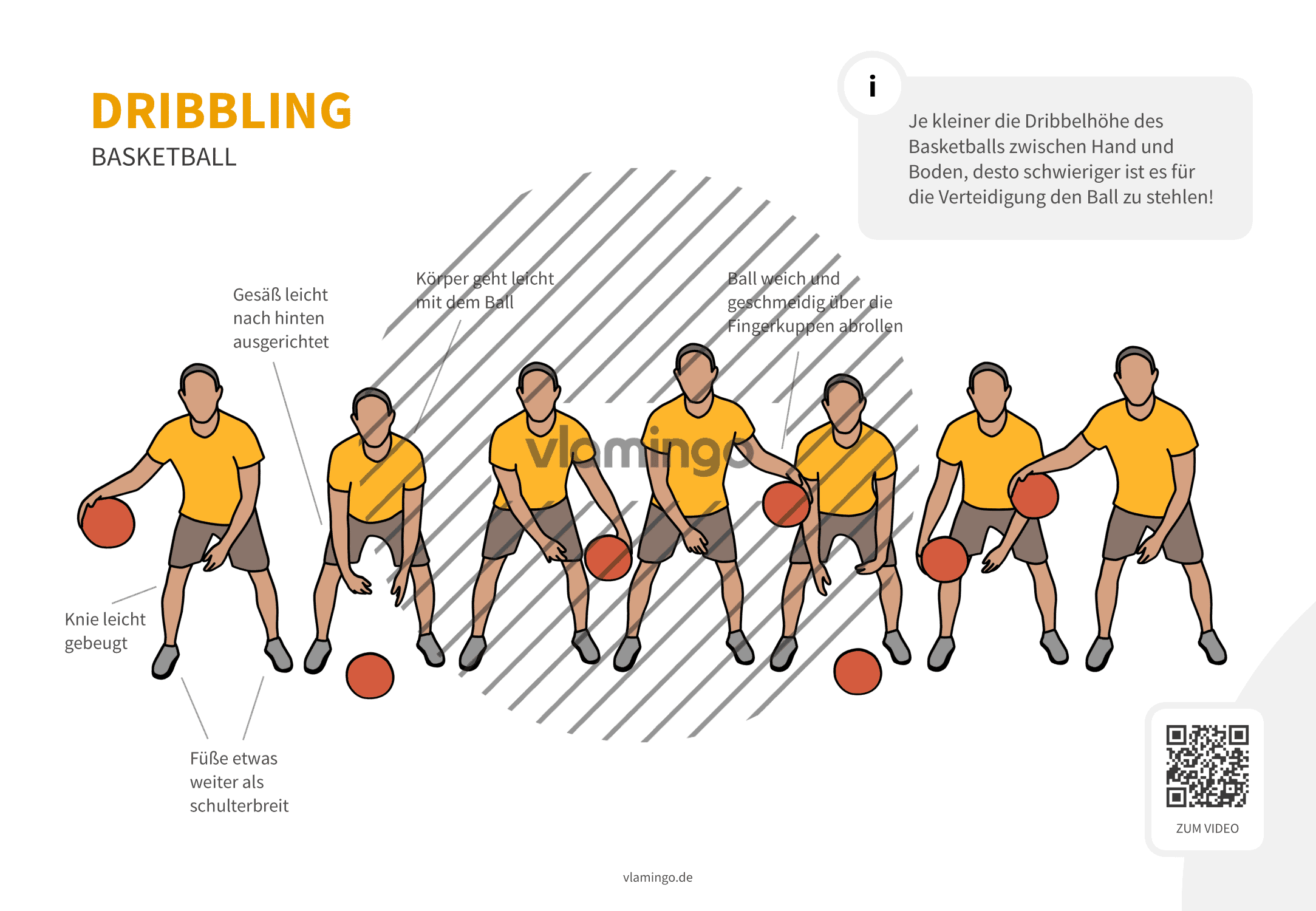 Basketball - Dribbling (von vorne)