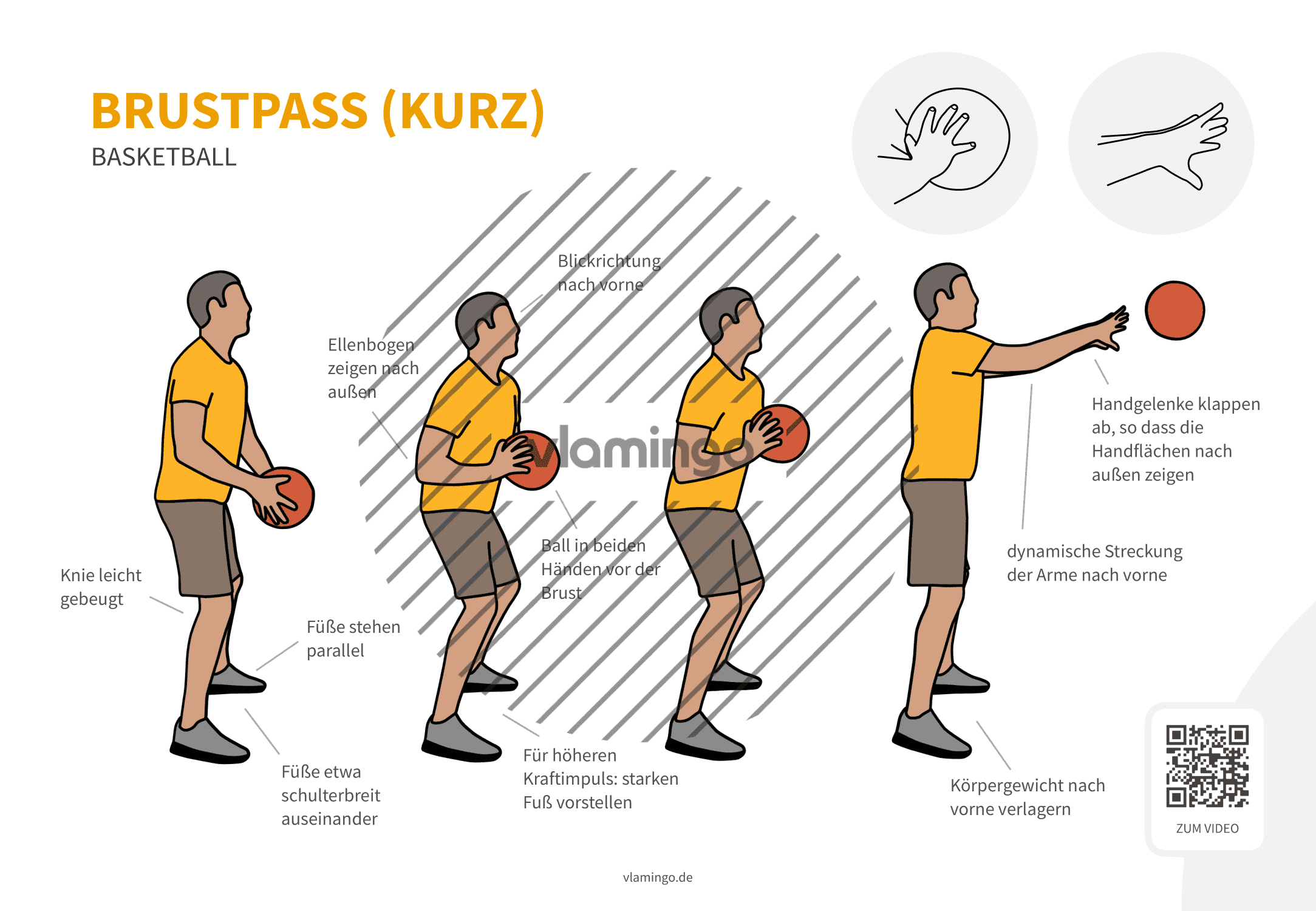 Basketball - Druckpass - Brustpass (von der Seite)