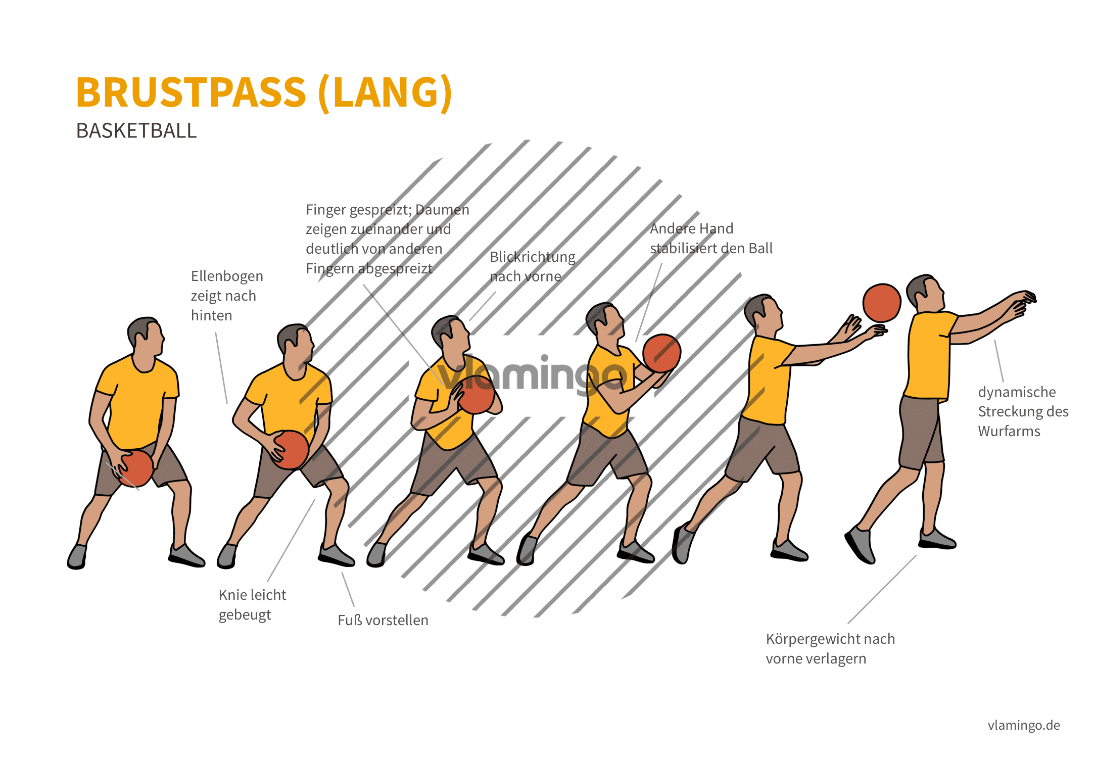 Basketball - Druckpass lang