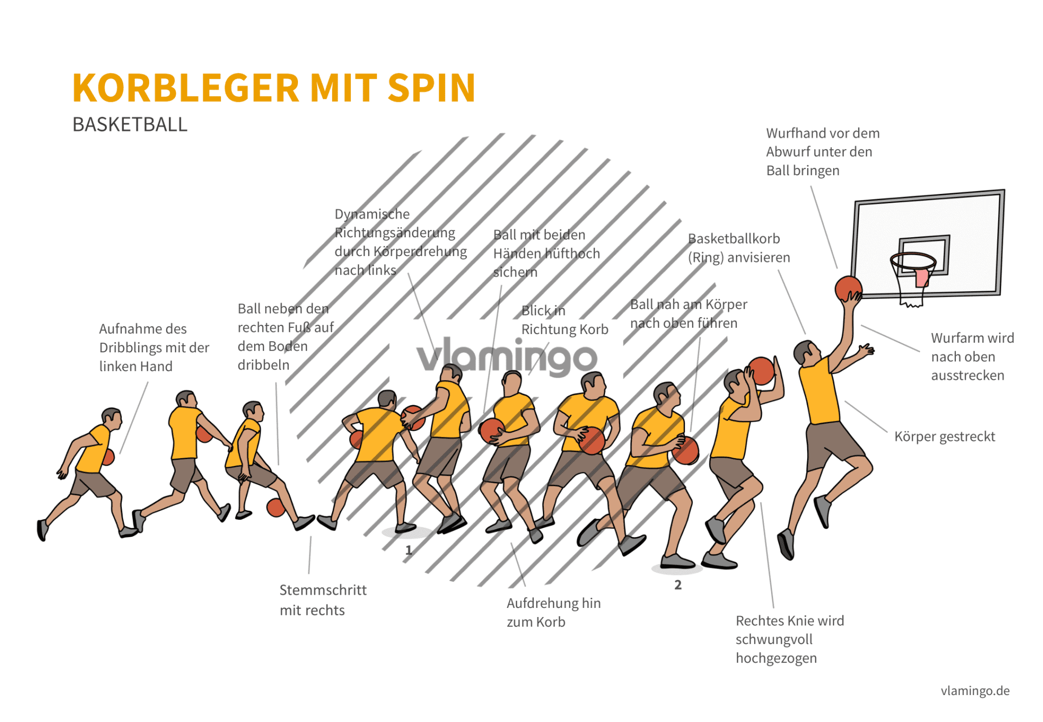 Korbleger (Basketball): Bewegungsbeschreibung & Technikanalyse.