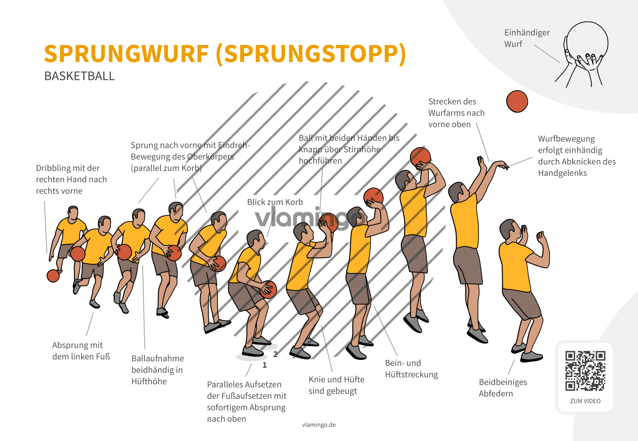 Basketball - Sprungstopp - Technik