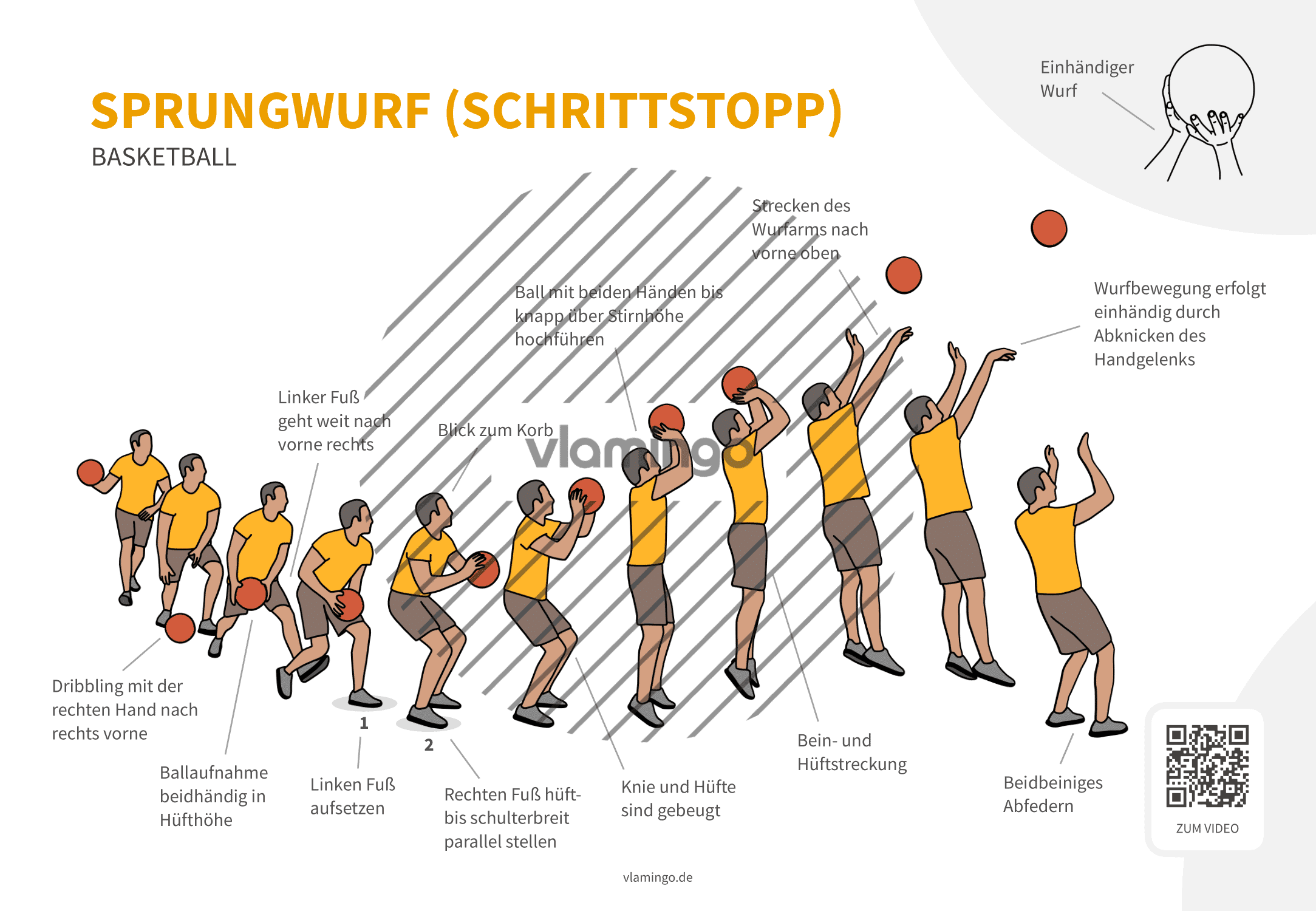 Basketball - Schrittstopp - Technik