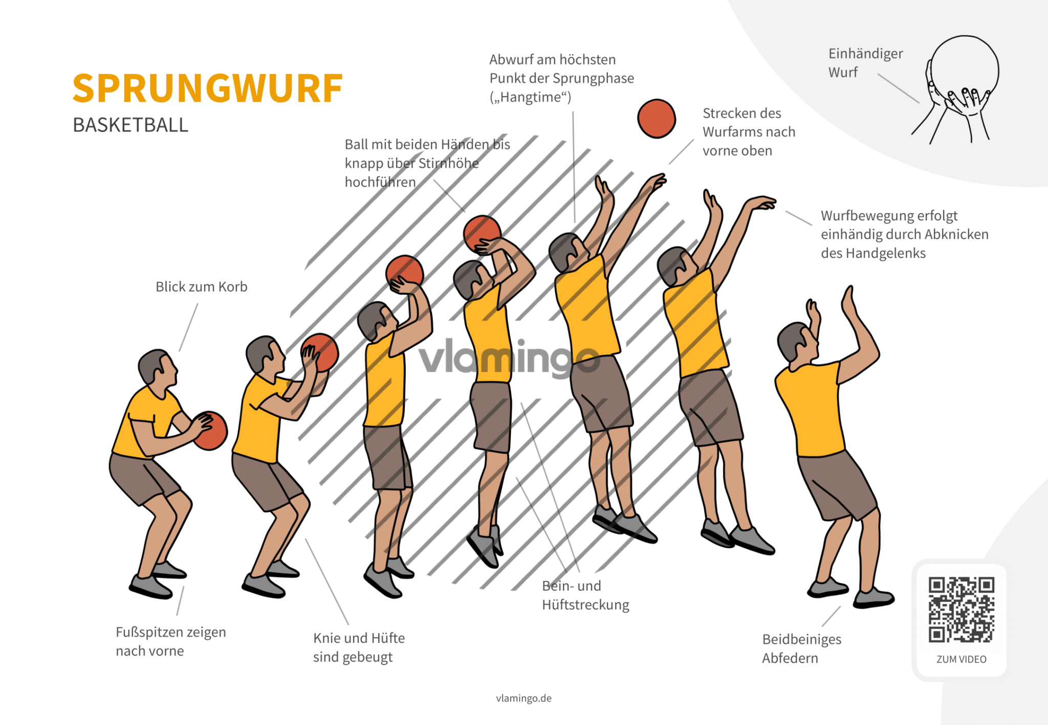 Sprungwurf (Basketball) Bewegungsbeschreibung & Technikanalyse