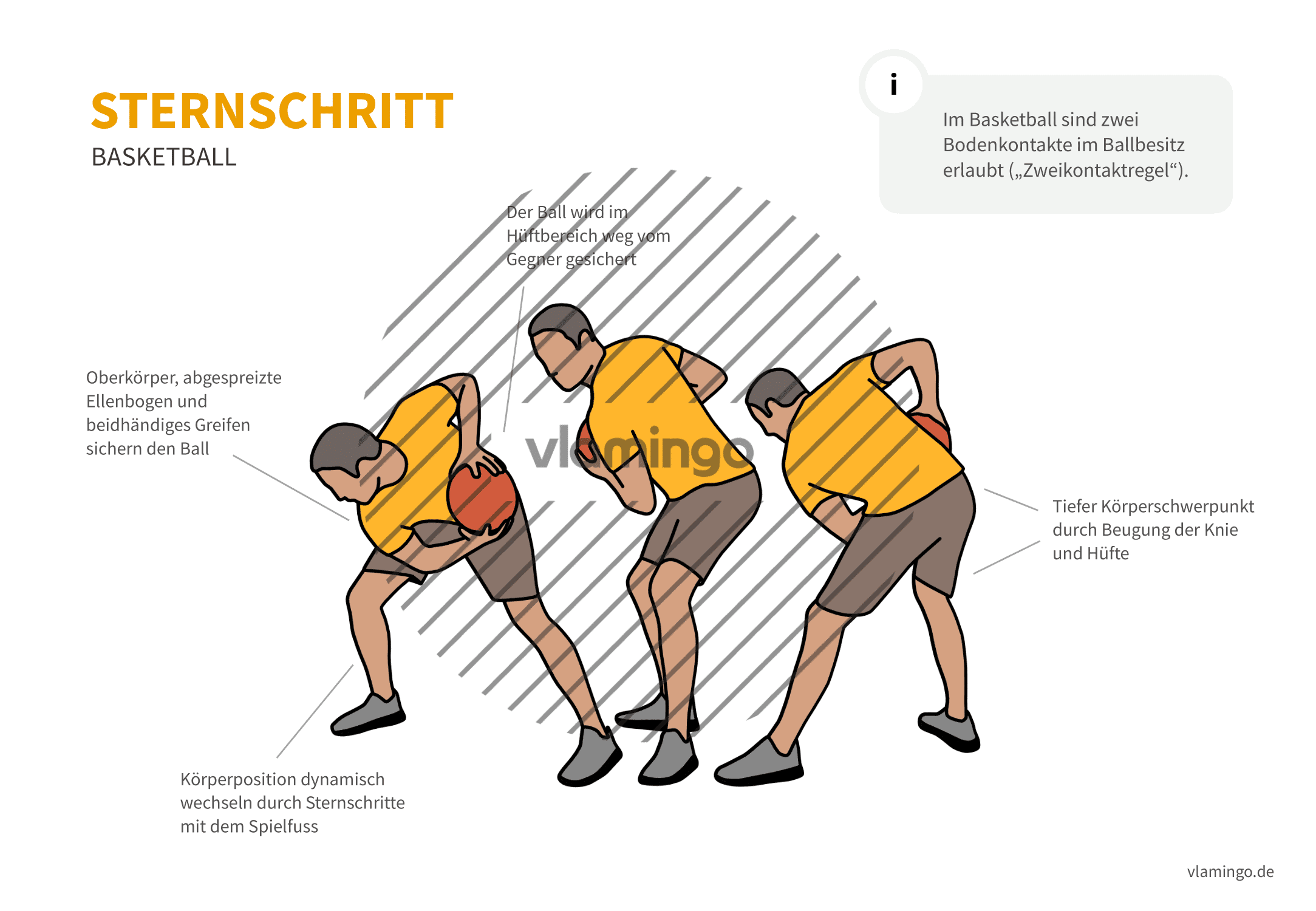 Sternschritt - Basketball