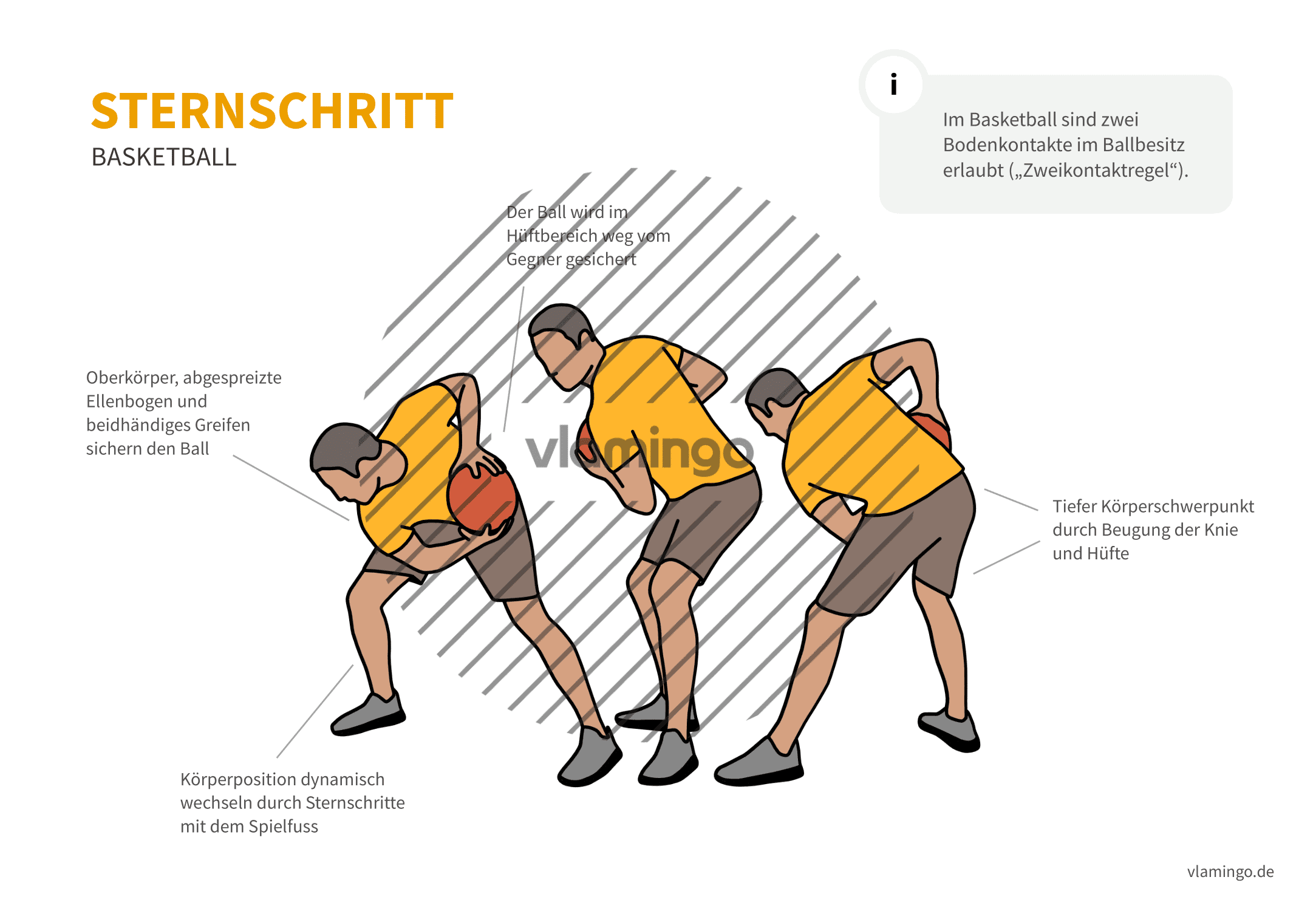 Basketball - Sternschritt Basketball - Dribbling (von vorne)