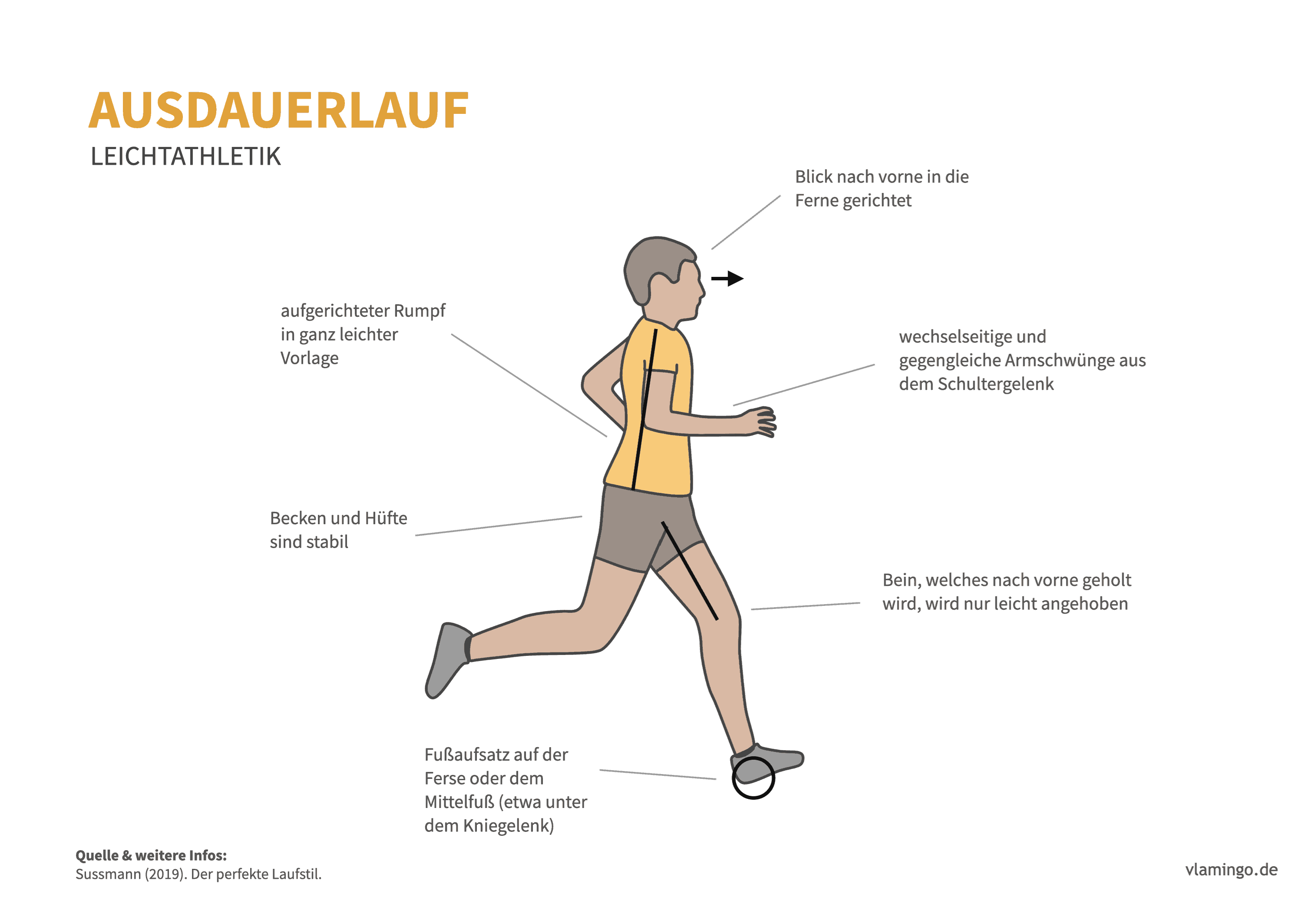 Ausdauerlauf (Bewegungsanalyse) - Leichtathletik