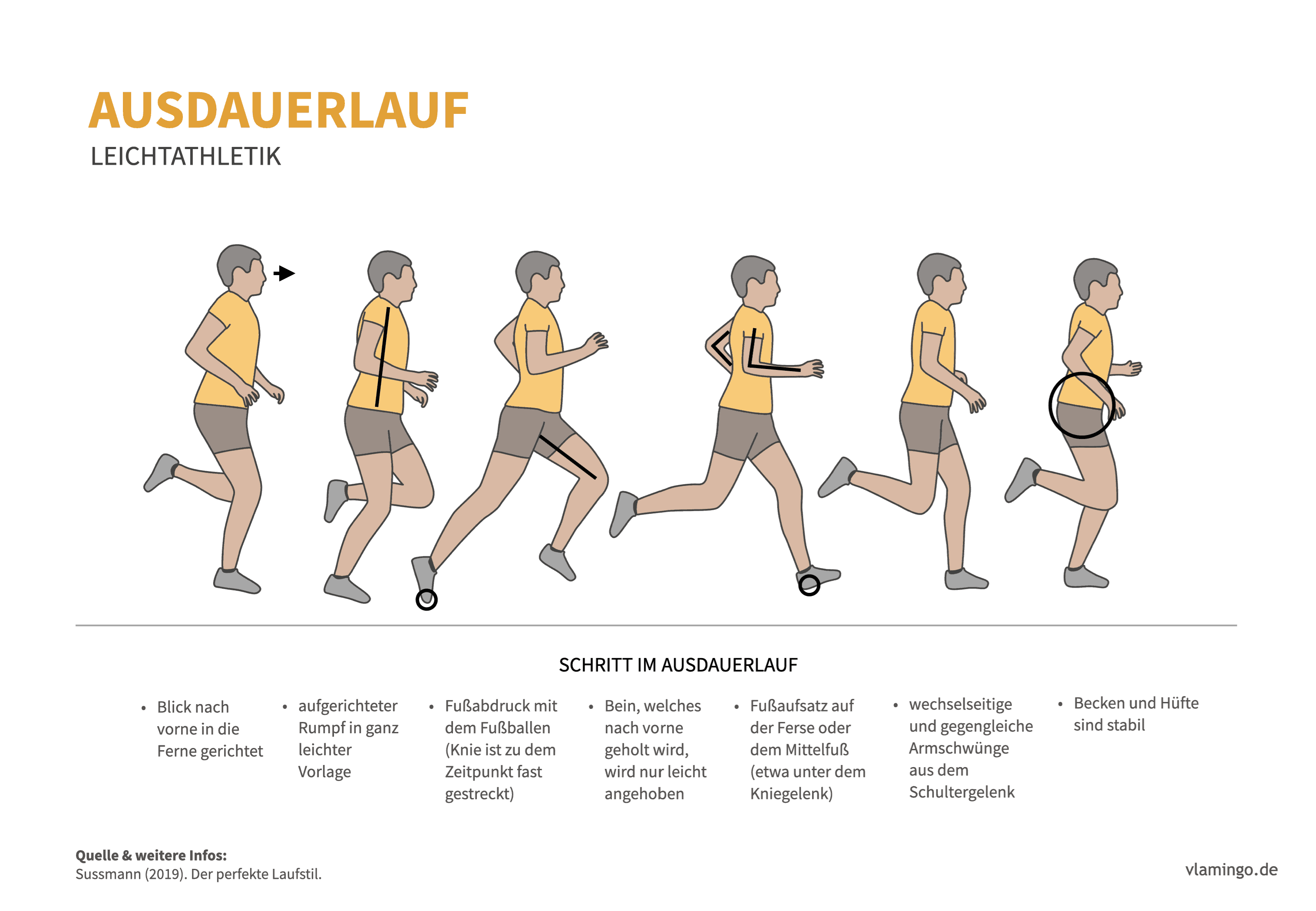 Ausdauerlauf (Bewegungsanalyse) - Leichtathletik