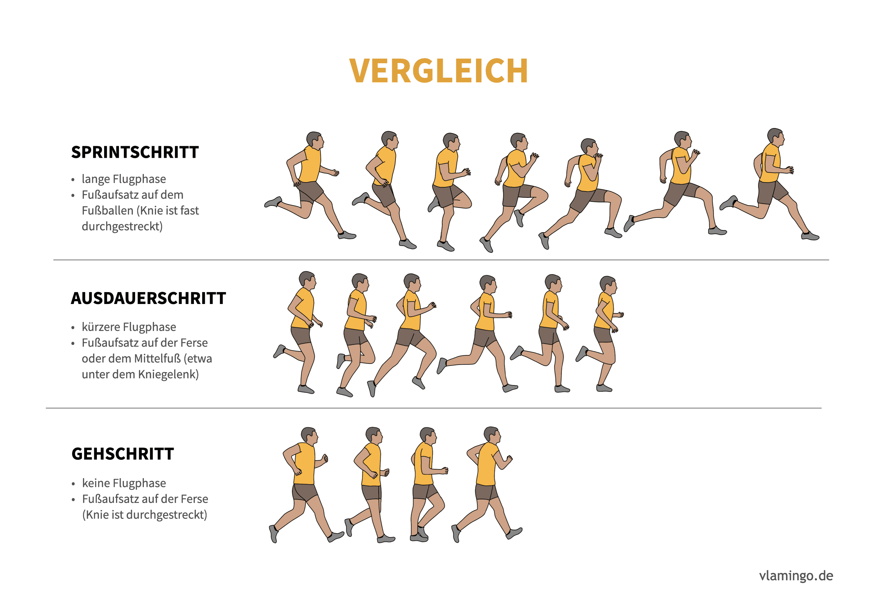 Sprint, Ausdauerlauf, Gehen (Bewegungsanalyse) - Leichtathletik