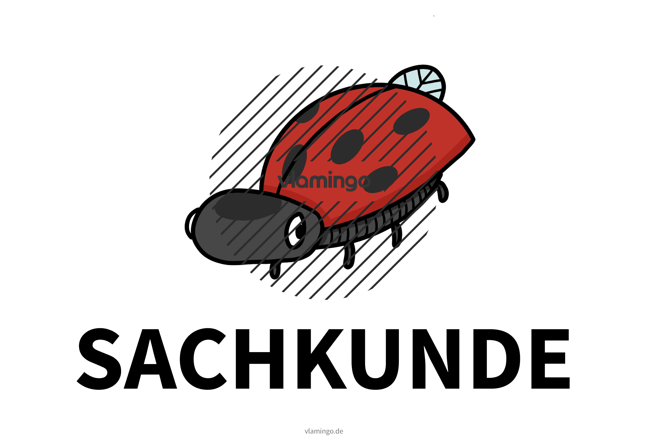 Unterrichtsfach - Sachkunde - Karte