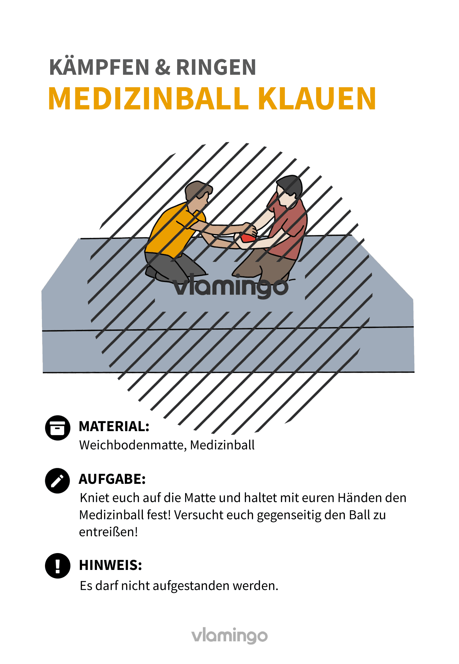 Übung - Medizinball klauen