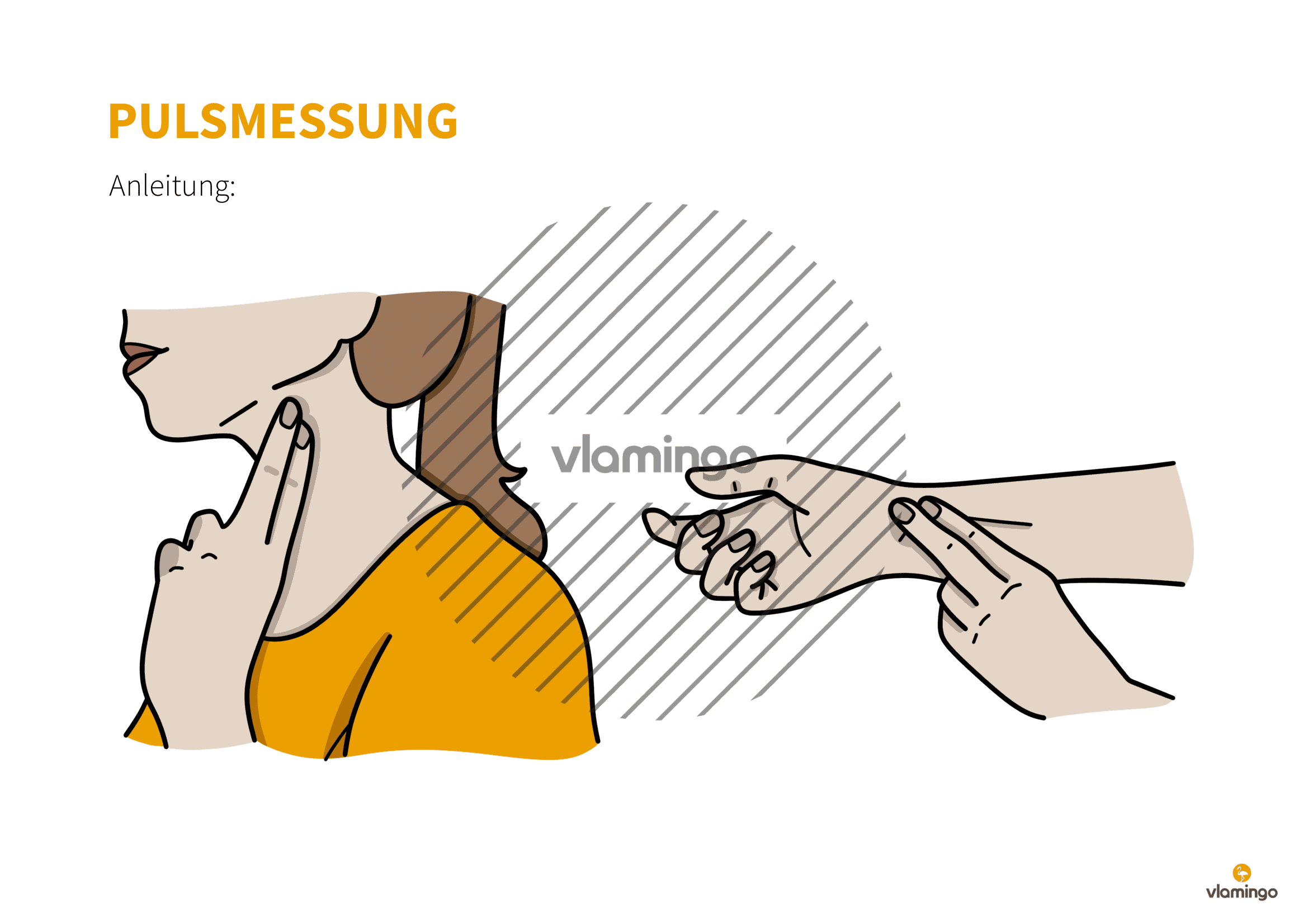 Pulsmessung - Anleitung - Ausdauerlauf - Sportunterricht Pulsmessung - Anleitung - Ausdauerlauf - Sportunterricht