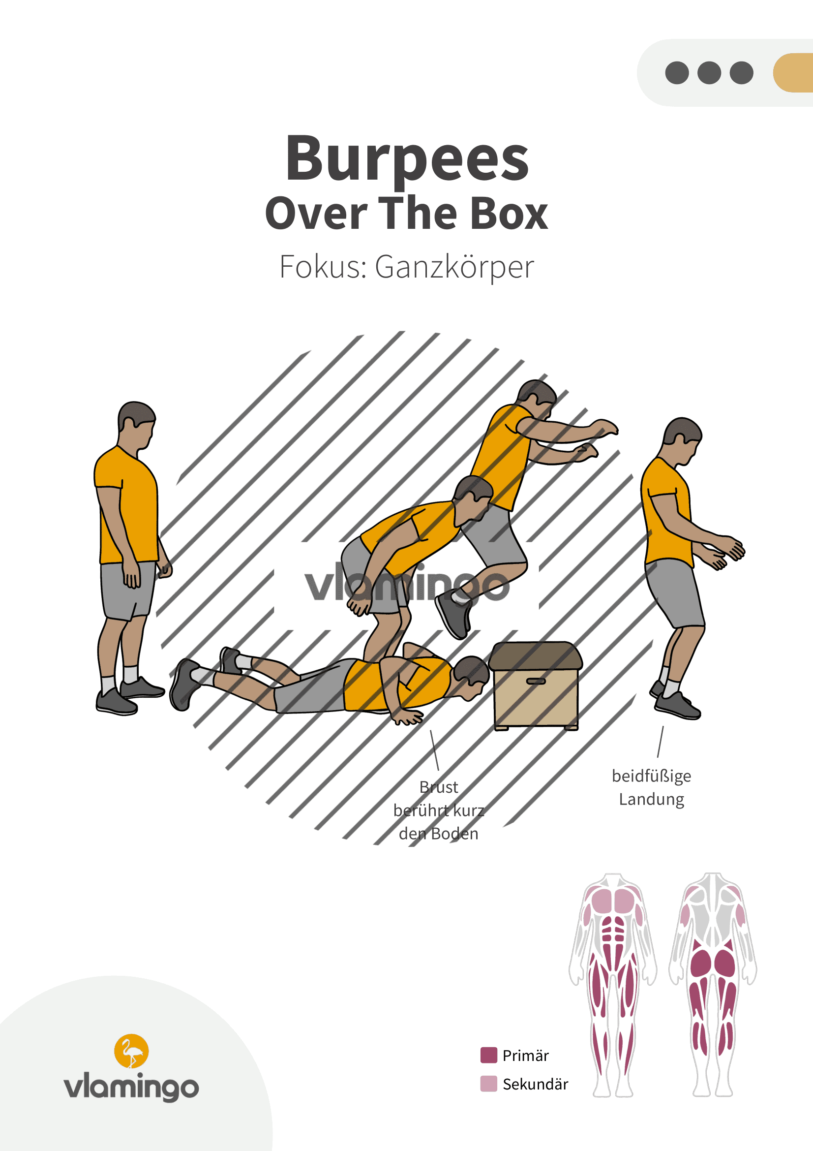 Übung - Burpees Over The Box - Fitness mit Kasten, Stuhl & Bank Übung - Burpees Over The Box - Fitness mit Kasten, Stuhl & Bank