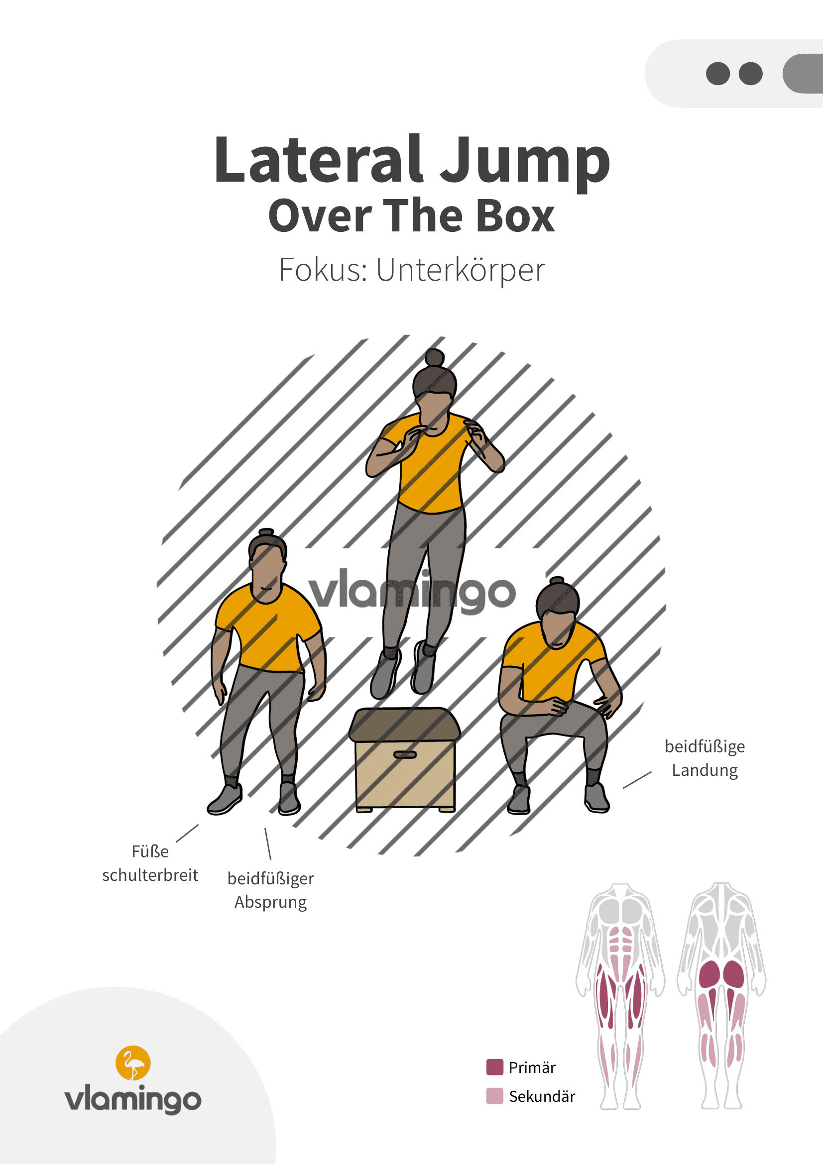 Übung - Lateral Over The Box - Fitness mit Kasten, Stuhl & Bank Übung - Lateral Over The Box - Fitness mit Kasten, Stuhl & Bank
