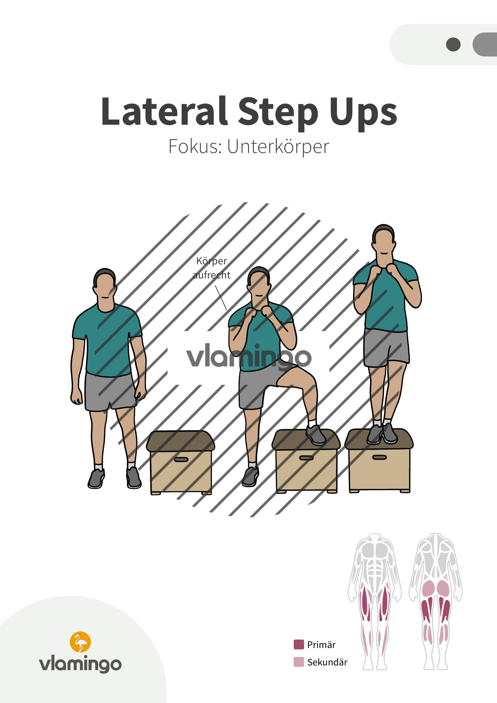 Übung - Lateral Step Ups - Fitness mit Kasten, Stuhl & Bank