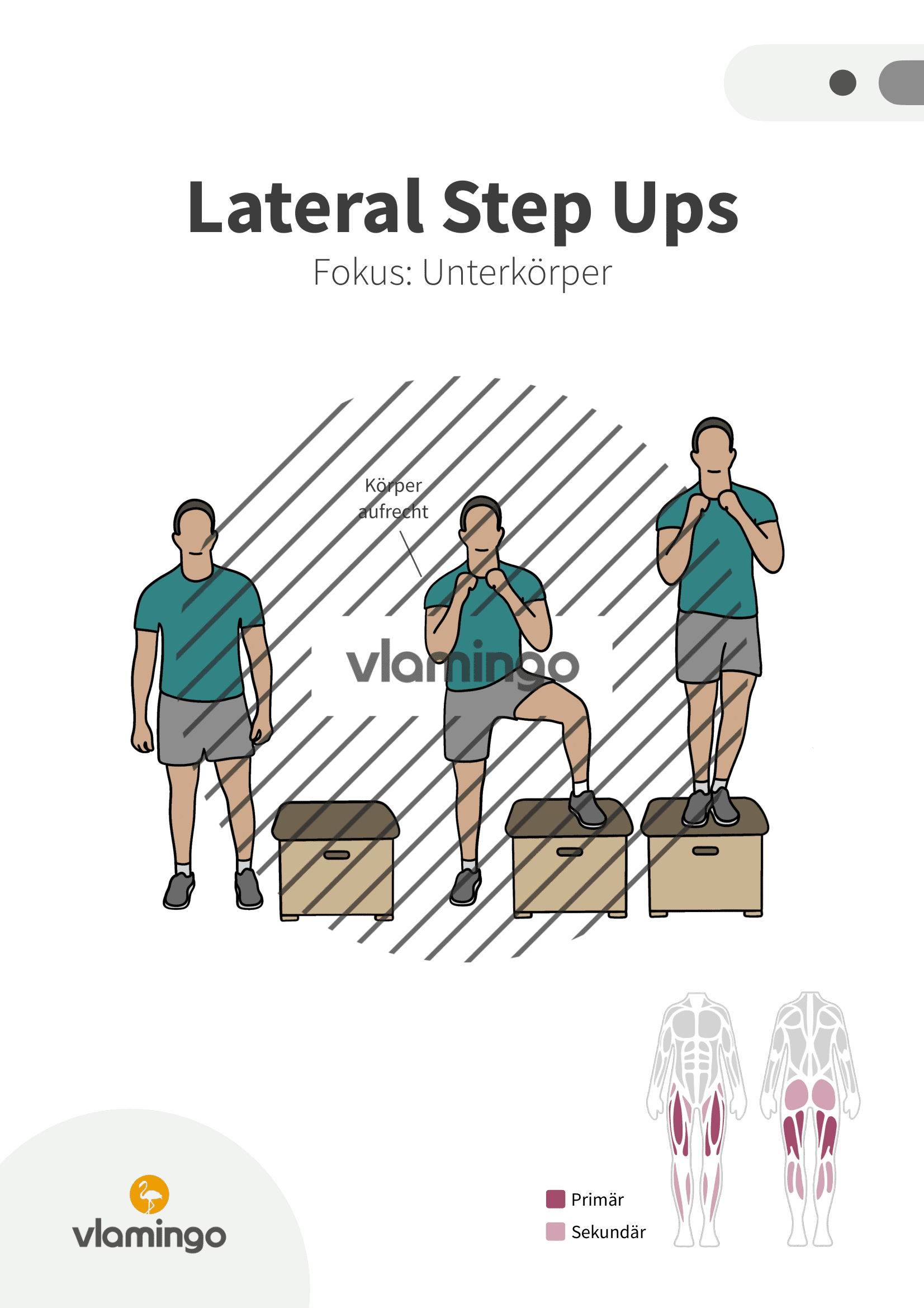 Übung - Lateral Step Ups - Fitness mit Kasten, Stuhl & Bank Übung - Lateral Step Ups - Fitness mit Kasten, Stuhl & Bank