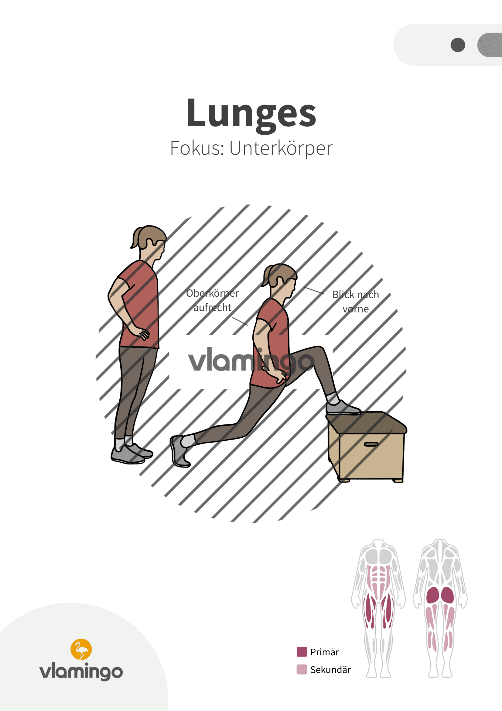 Übung - Lunges - Fitness mit Kasten, Stuhl & Bank