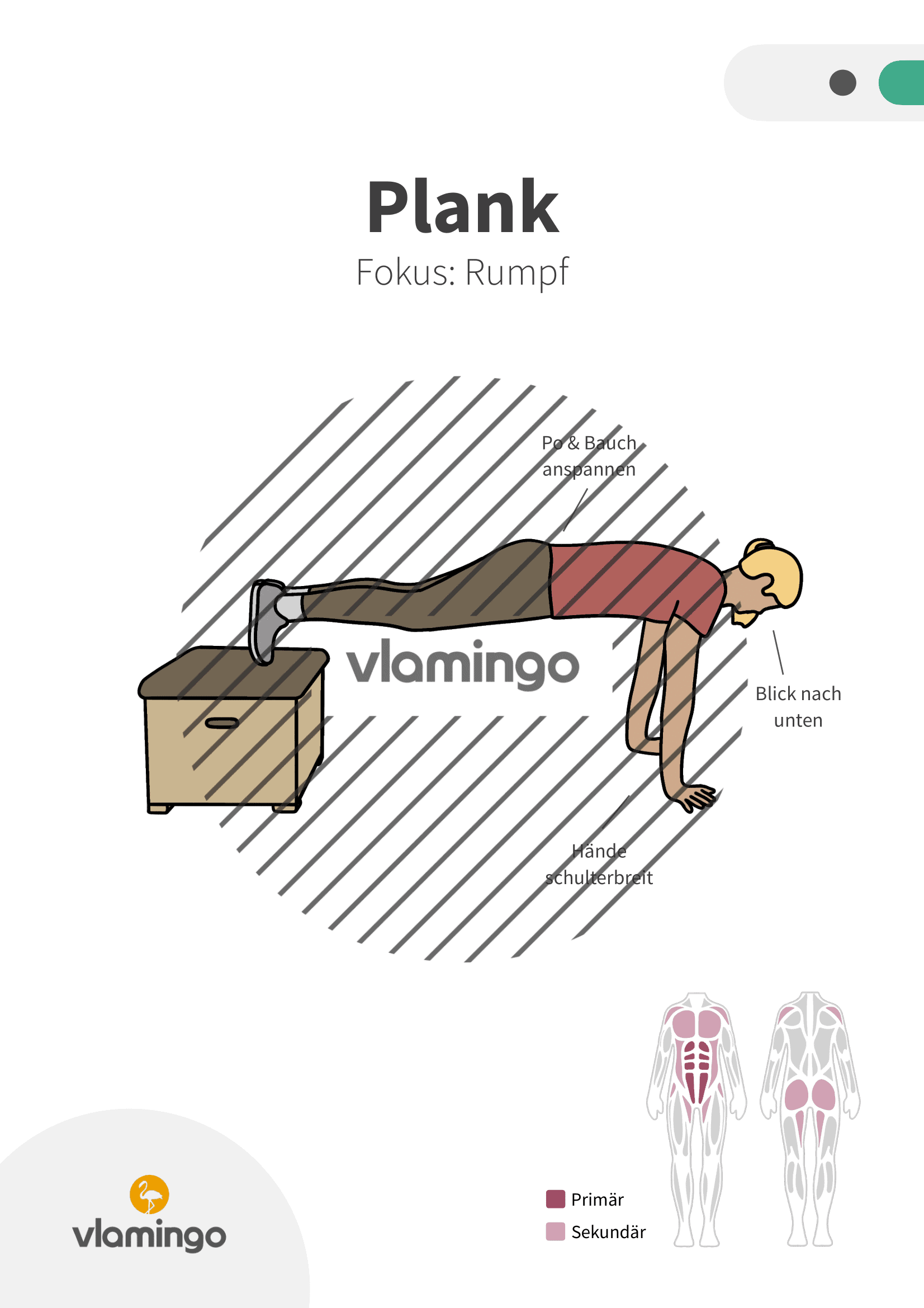 Übung - Plank - Fitness mit Kasten, Stuhl & Bank