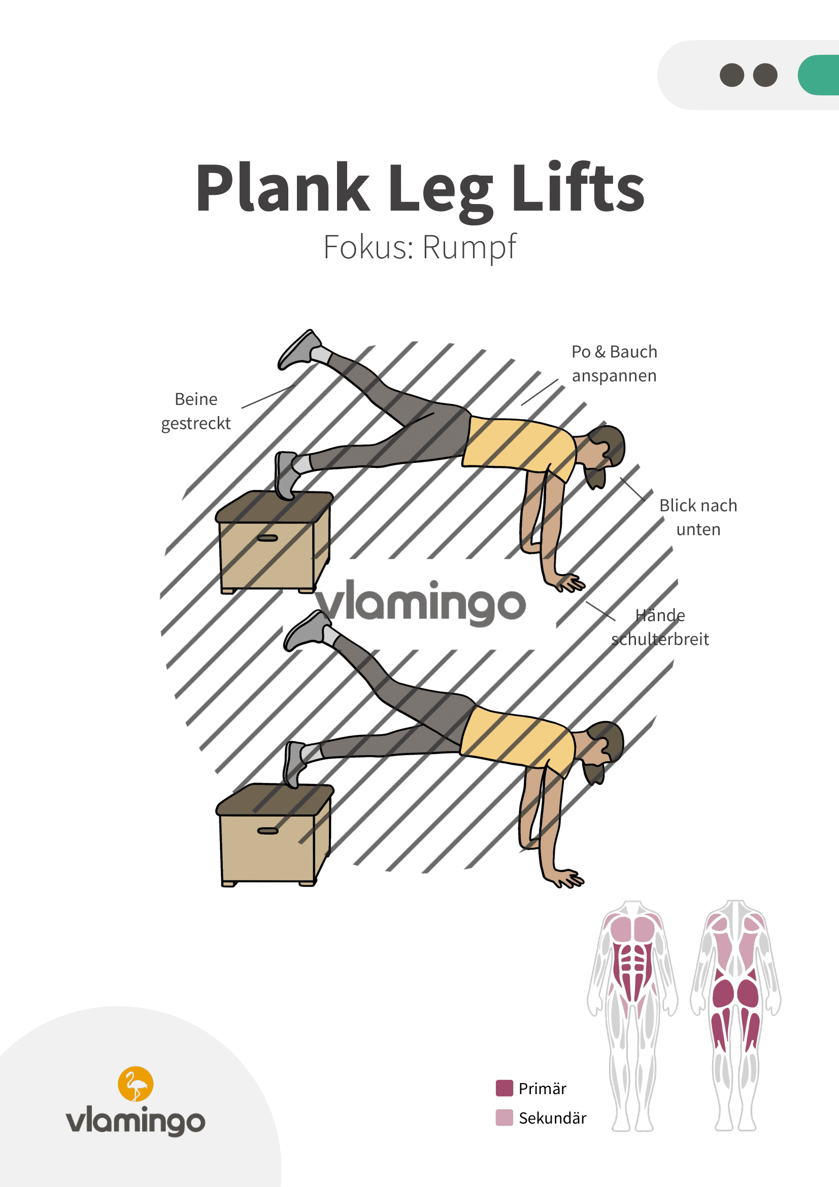 Übung - Plank Leg Lifts - Fitness mit Kasten, Stuhl & Bank
