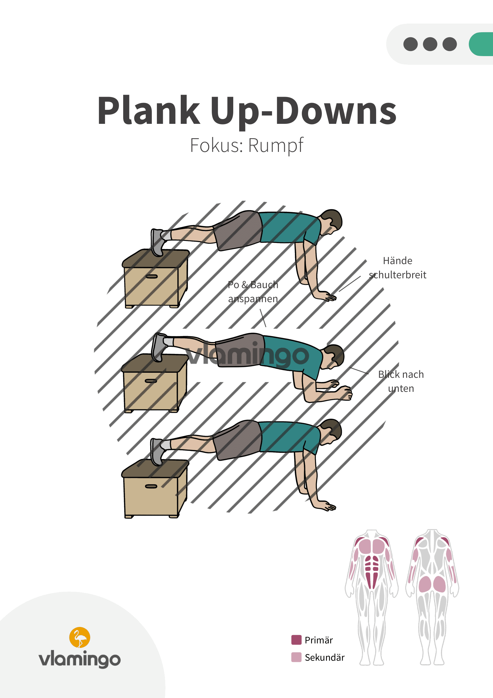 Übung - Plank Up-Downs - Fitness mit Kasten, Stuhl & Bank