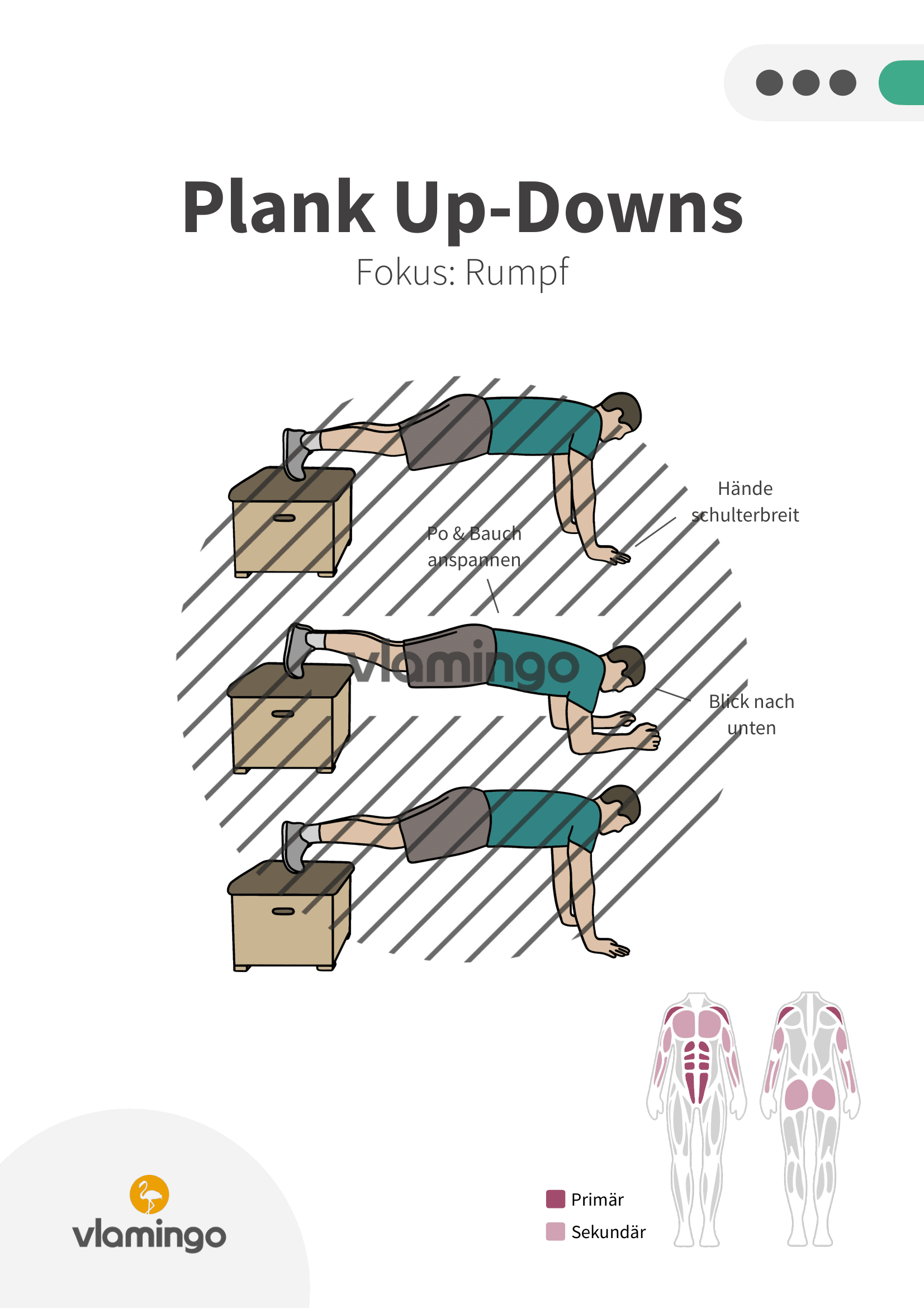 Übung - Plank Up-Downs - Fitness mit Kasten, Stuhl & Bank Übung - Plank Up-Downs - Fitness mit Kasten, Stuhl & Bank