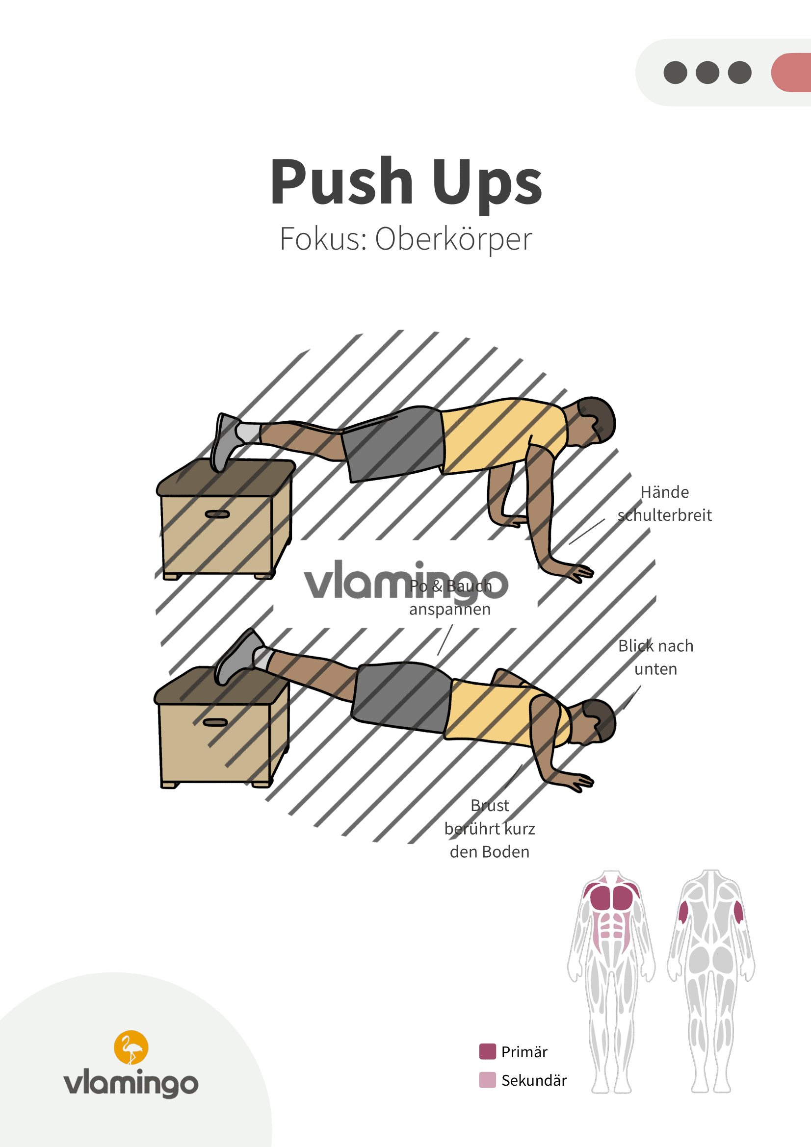 Übung - Push Ups 2 - Fitness mit Kasten, Stuhl & Bank Übung - Push Ups 2 - Fitness mit Kasten, Stuhl & Bank