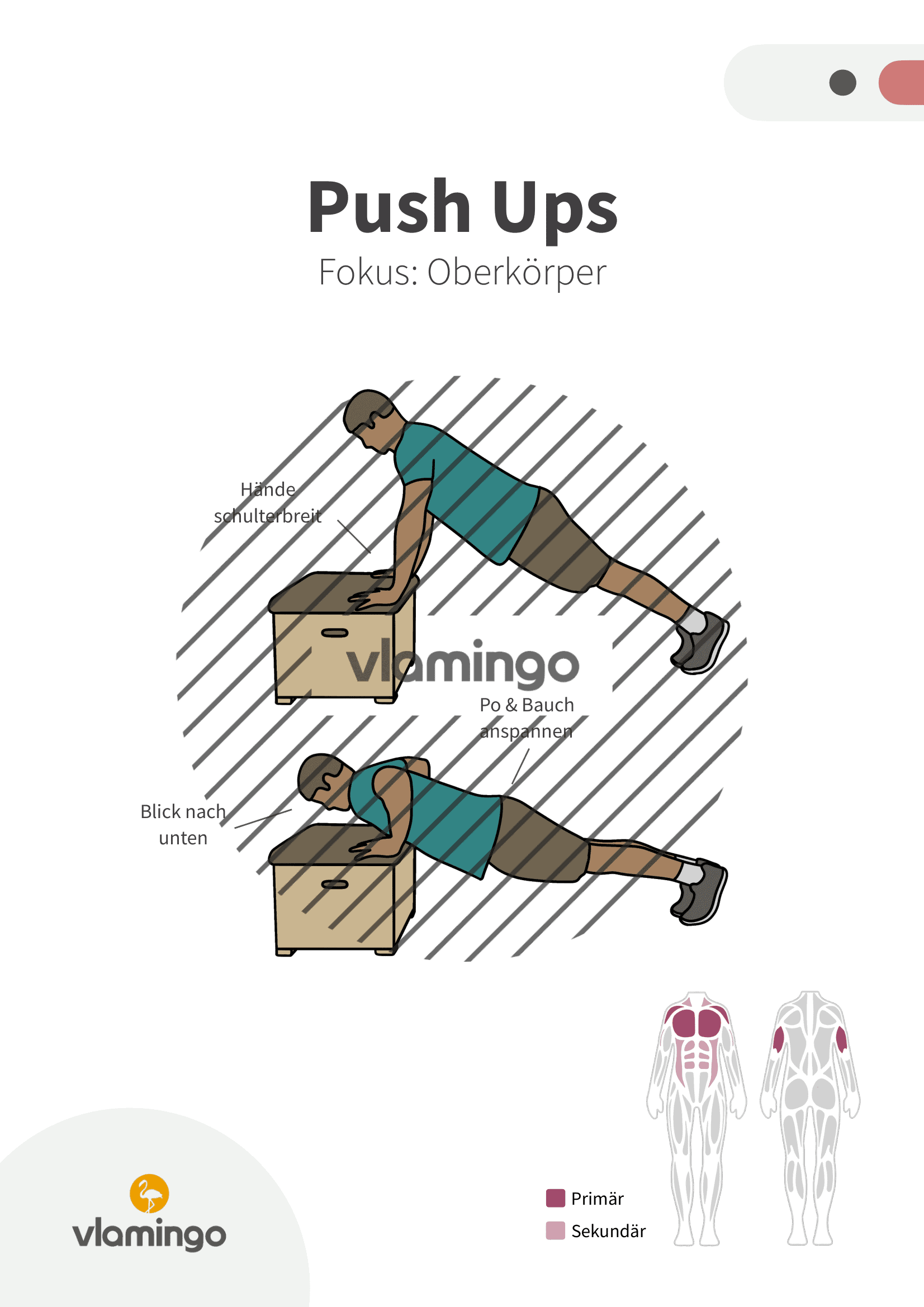 Übung - Push Ups - Fitness mit Kasten, Stuhl & Bank
