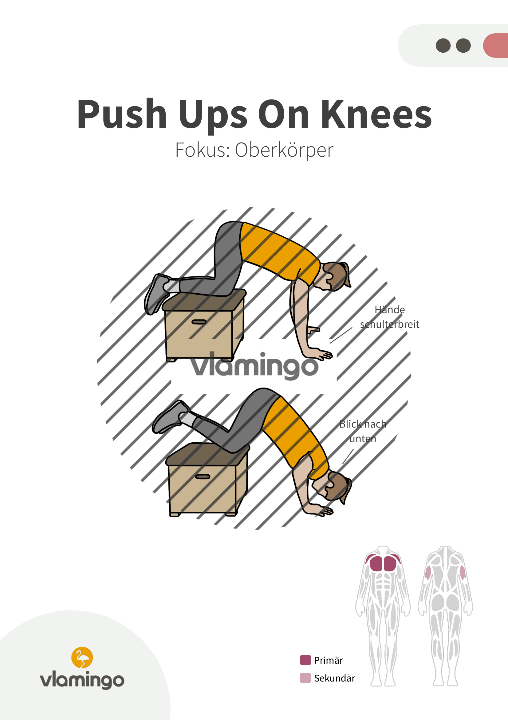 Übung - Push Ups on Knees - Fitness mit Kasten, Stuhl & Bank