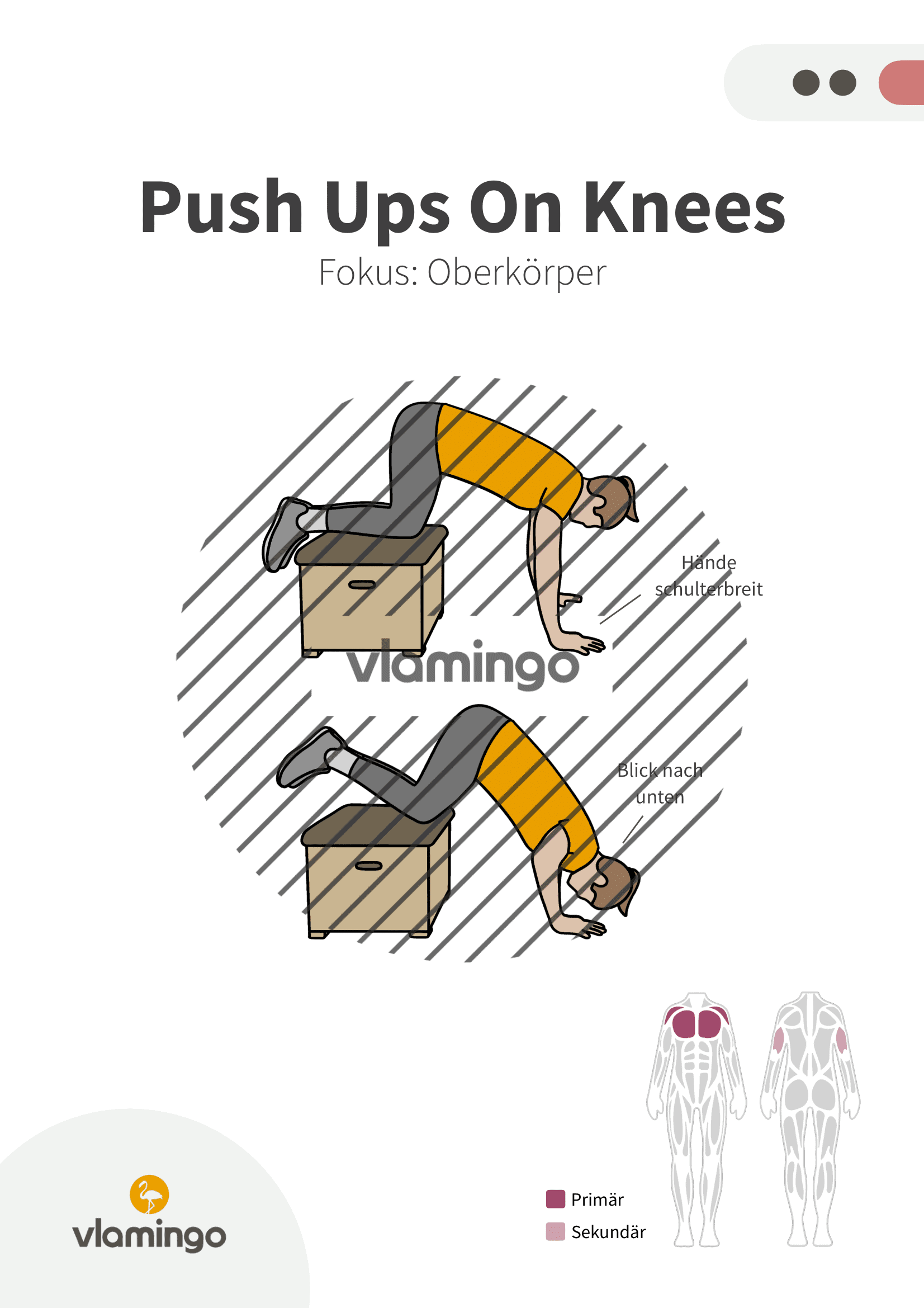 Übung - Push Ups on Knees - Fitness mit Kasten, Stuhl & Bank Übung - Push Ups on Knees - Fitness mit Kasten, Stuhl & Bank