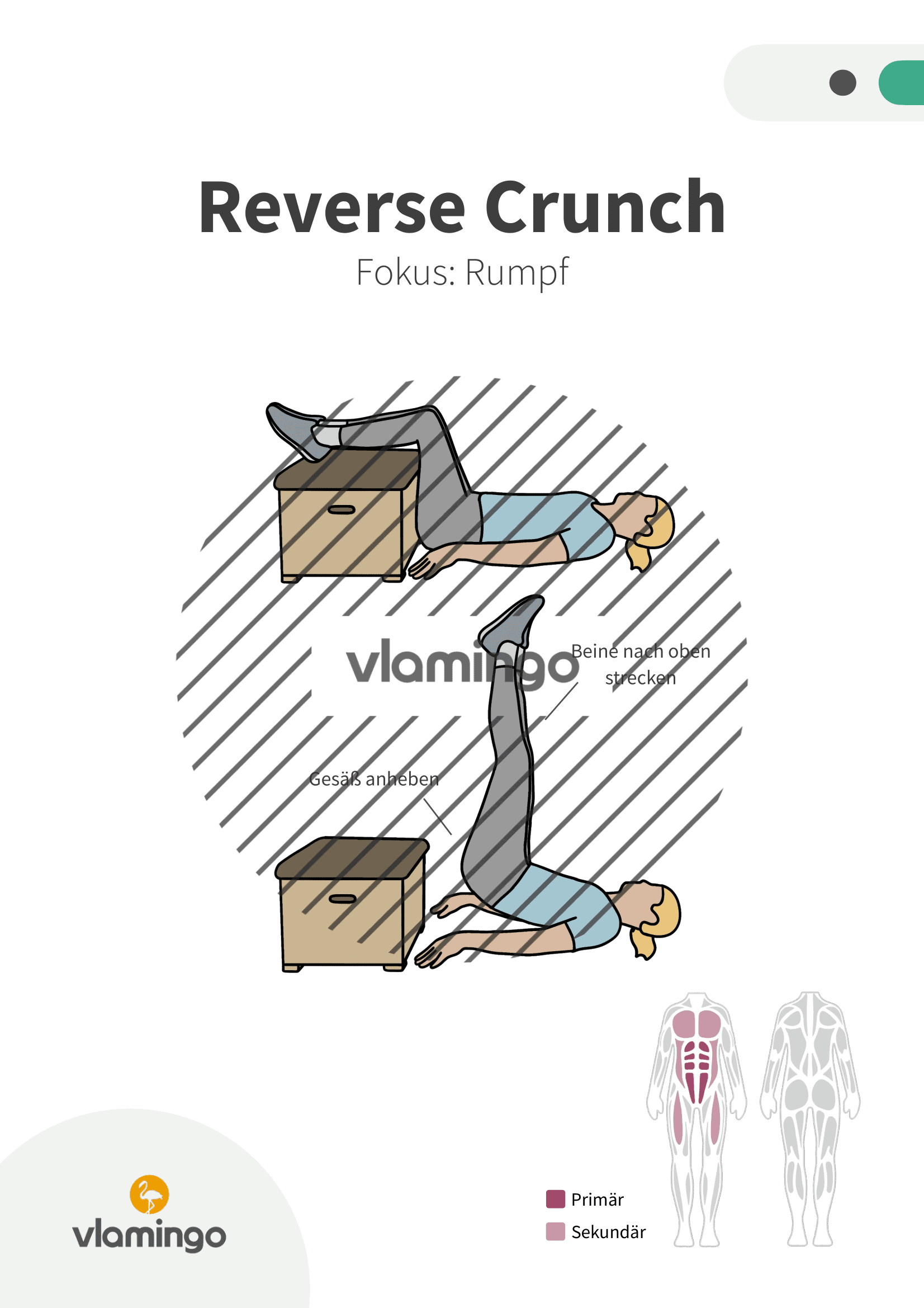 Übung - Reverse Crunch - Fitness mit Kasten, Stuhl & Bank