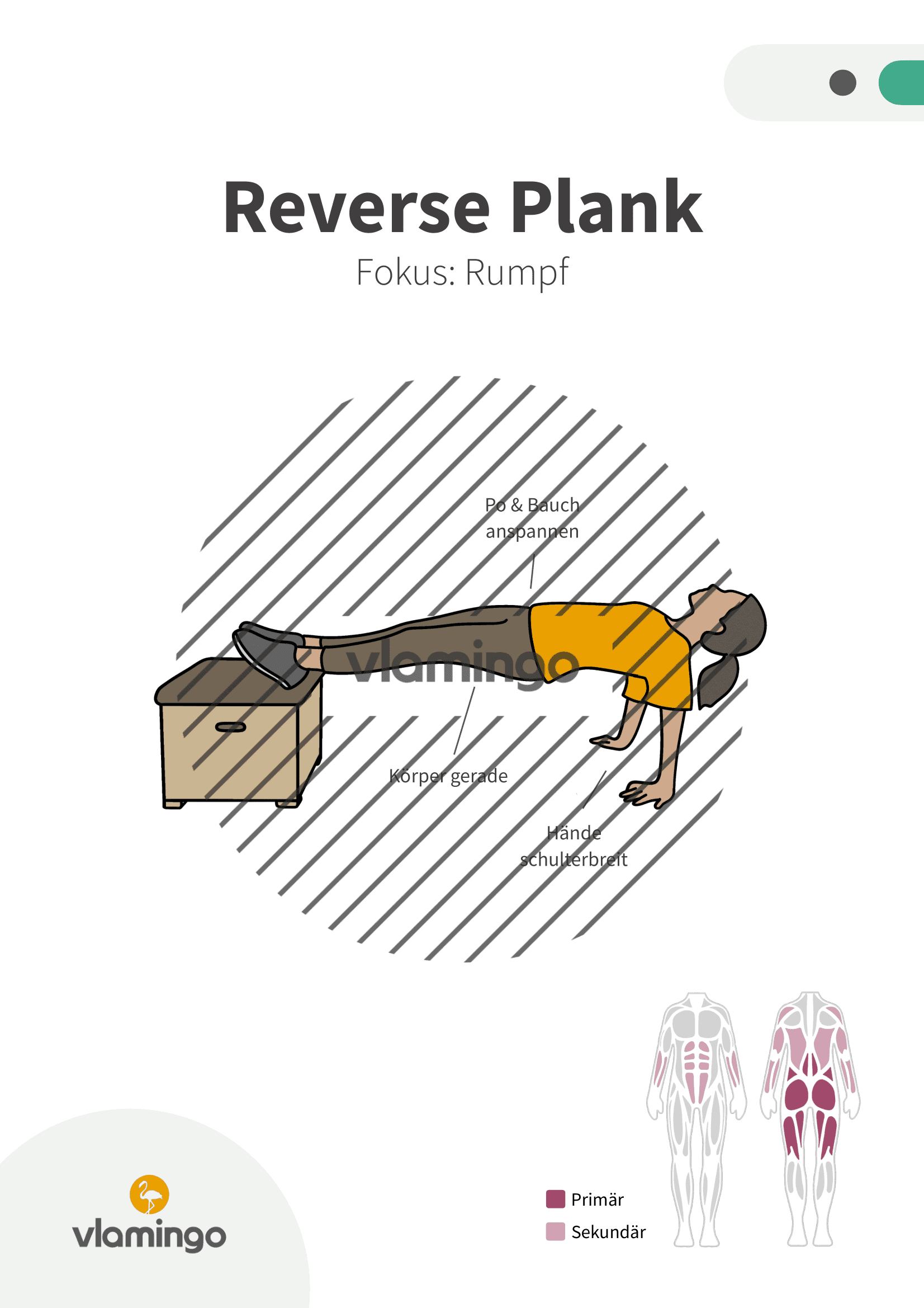 Übung - Reverse Plank - Fitness mit Kasten, Stuhl & Bank