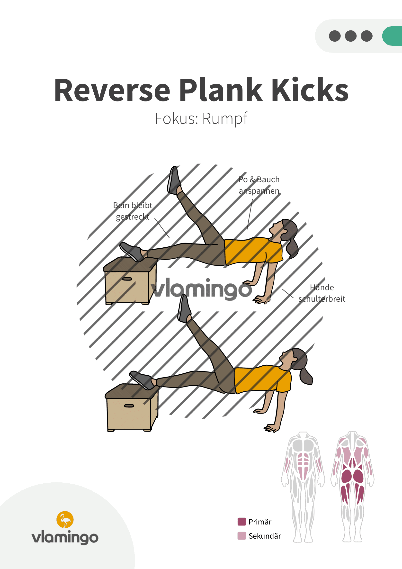 Übung - Reverse Plank Kicks - Fitness mit Kasten, Stuhl & Bank Übung - Reverse Plank Kicks - Fitness mit Kasten, Stuhl & Bank